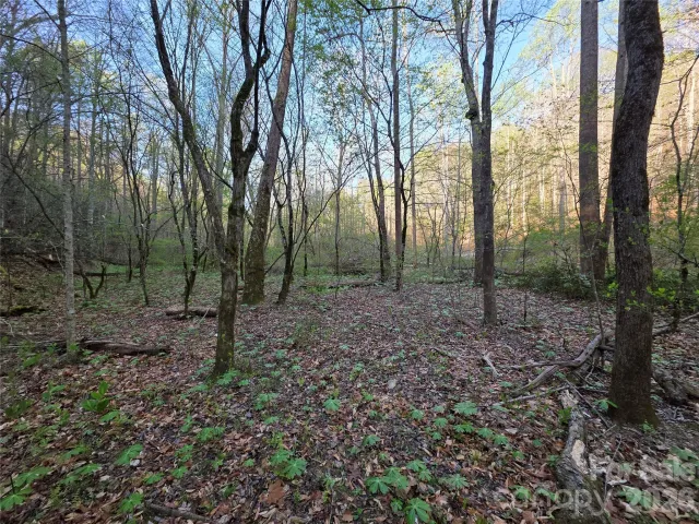 00 Mountain Creek Way, Marion, NC, 28752
