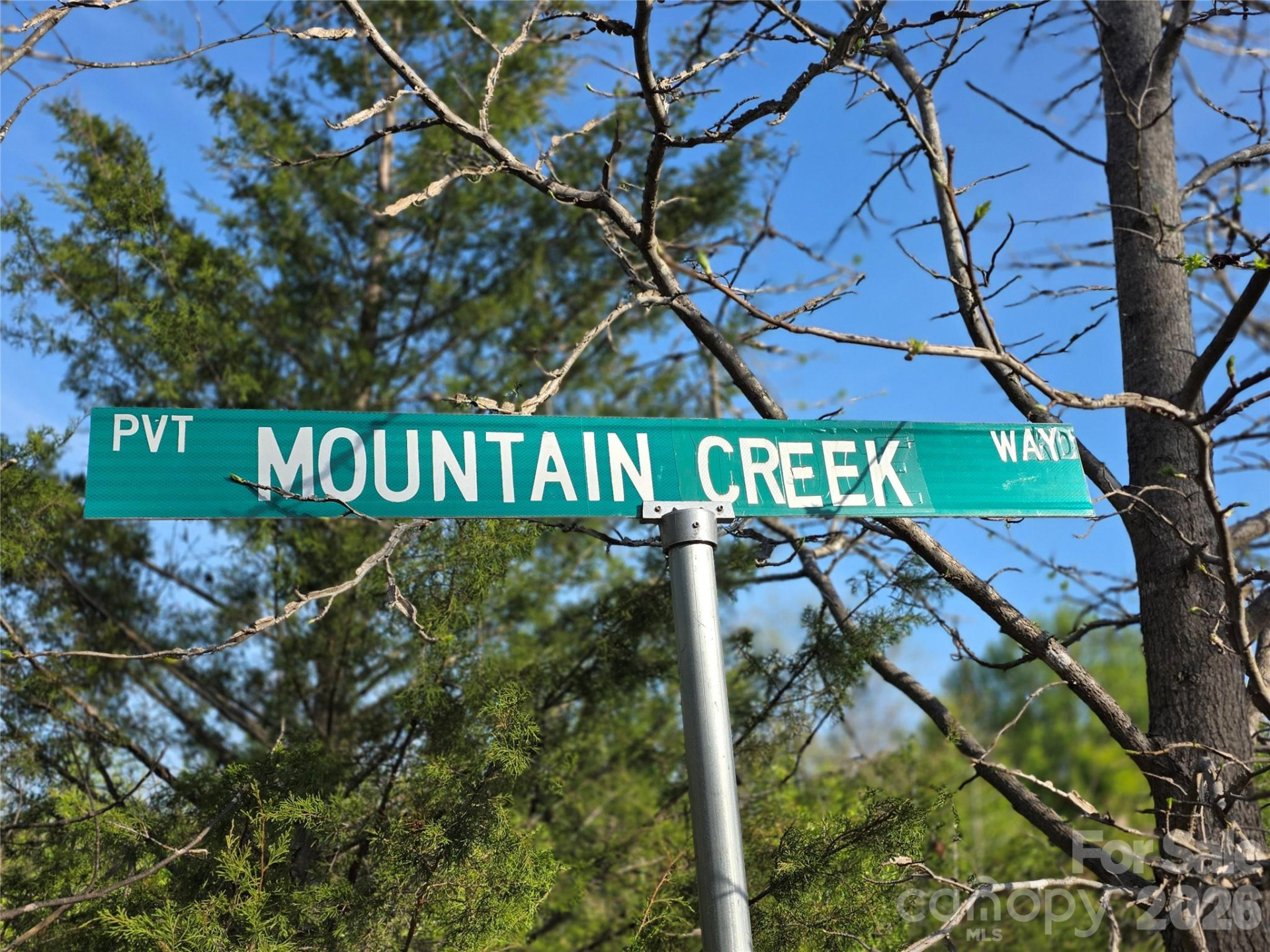 00 Mountain Creek Way - Photo 11