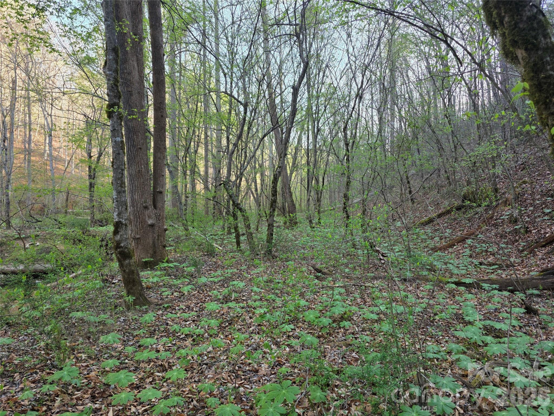 00 Mountain Creek Way - Photo 12