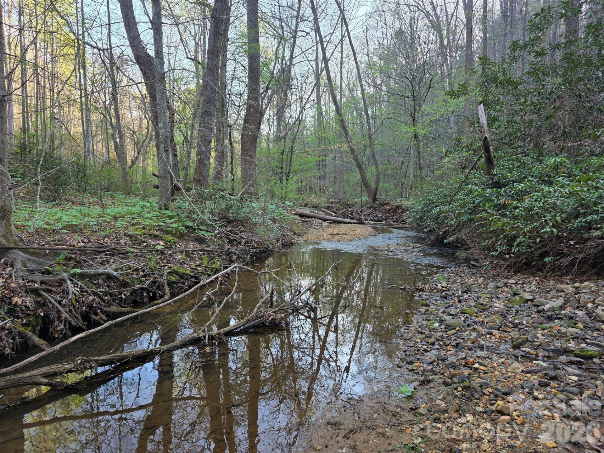 00 Mountain Creek Way - Photo 13