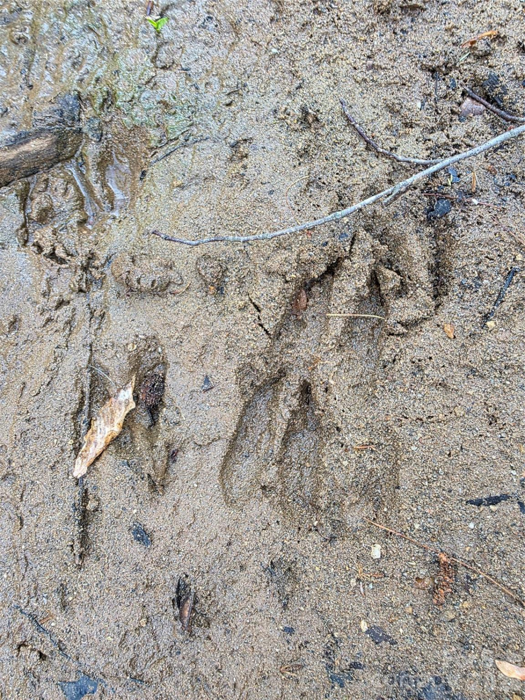 00 Mountain Creek Way - Photo 14