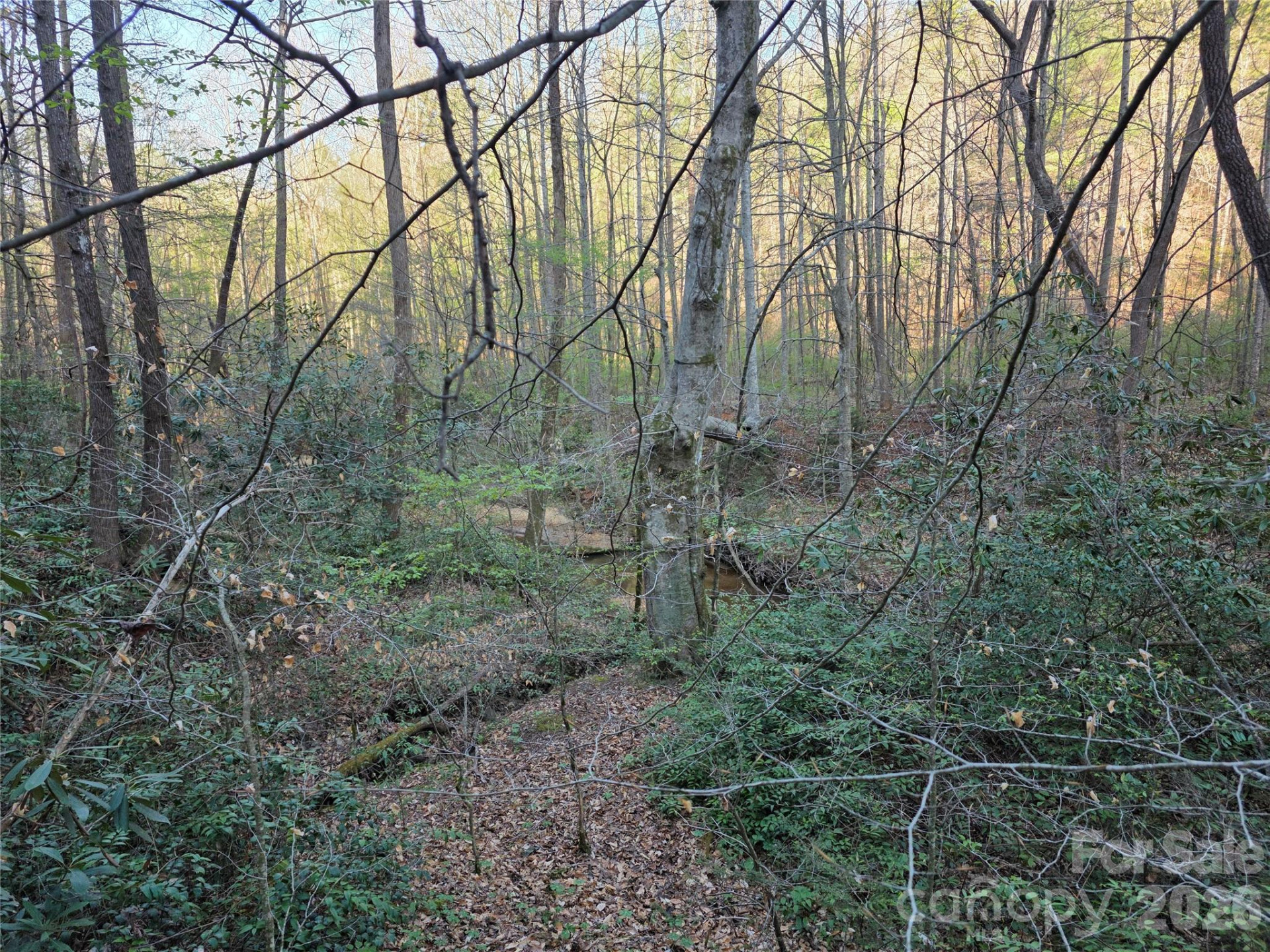 00 Mountain Creek Way - Photo 15