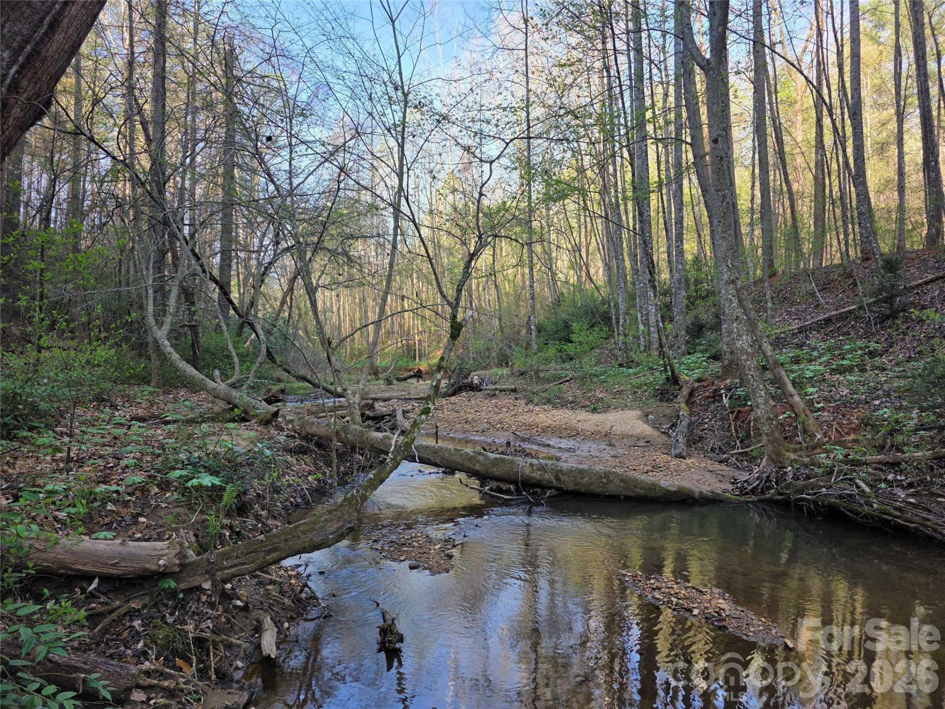 00 Mountain Creek Way - Photo 4