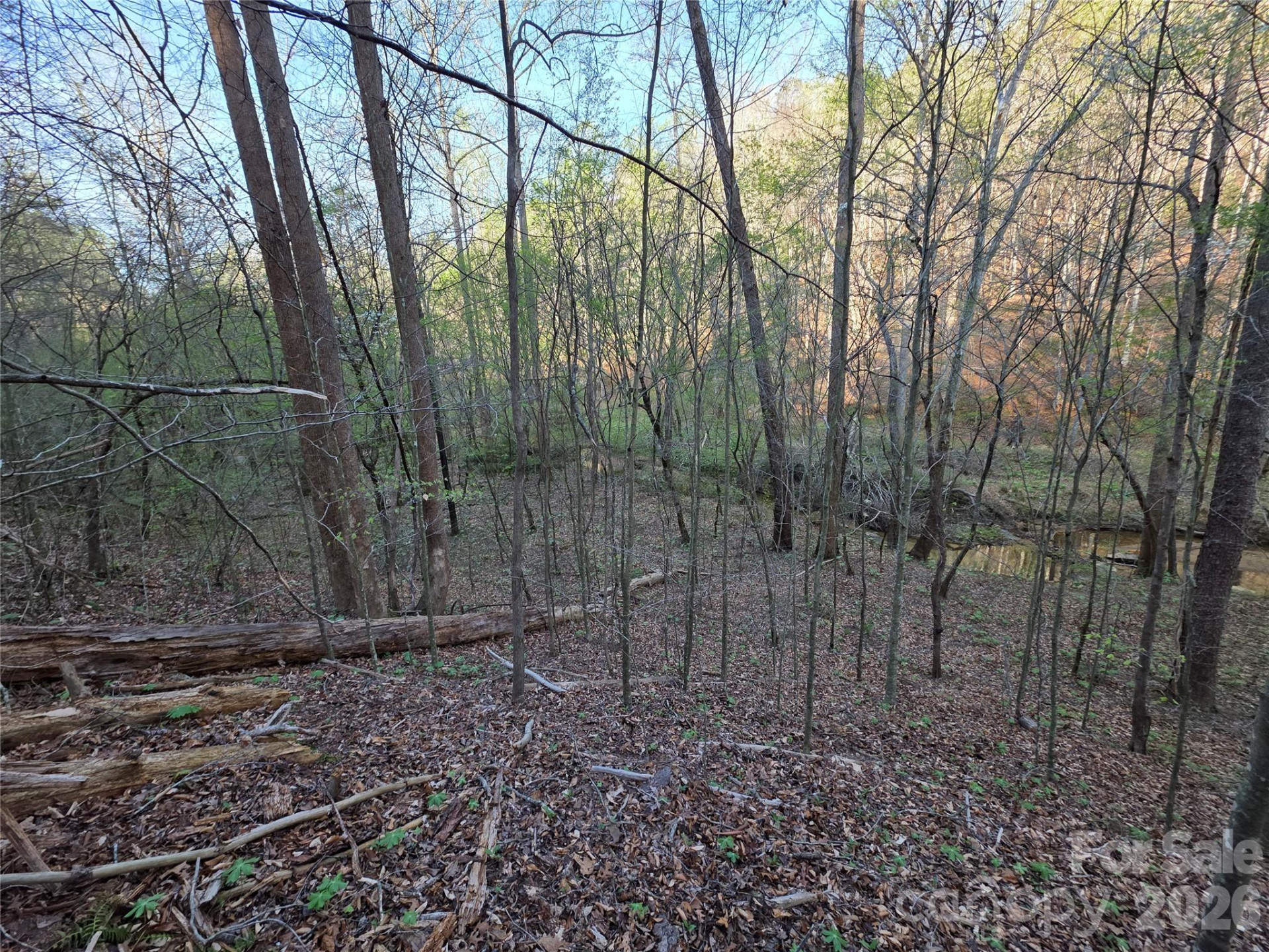 00 Mountain Creek Way - Photo 5