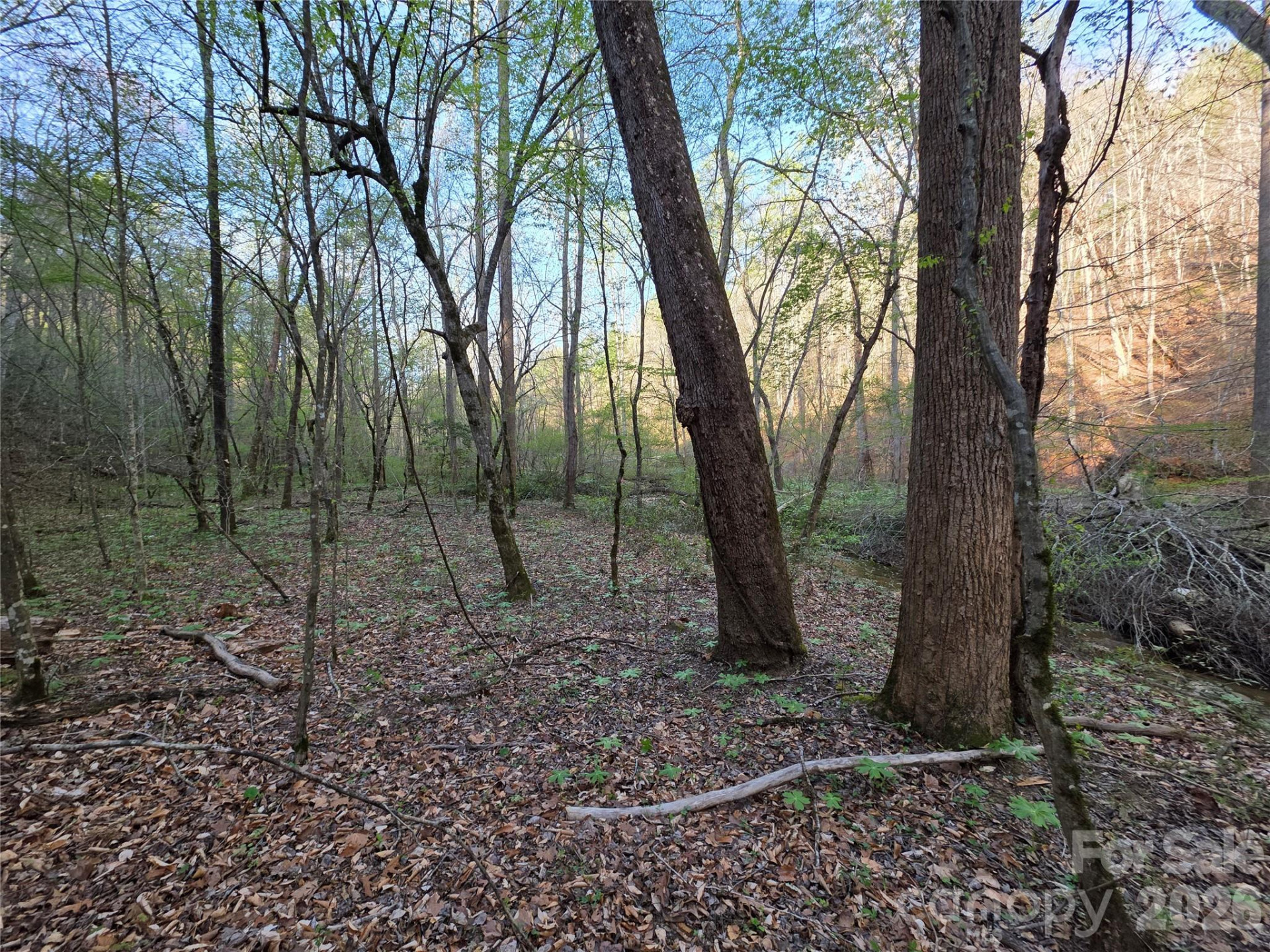 00 Mountain Creek Way - Photo 6