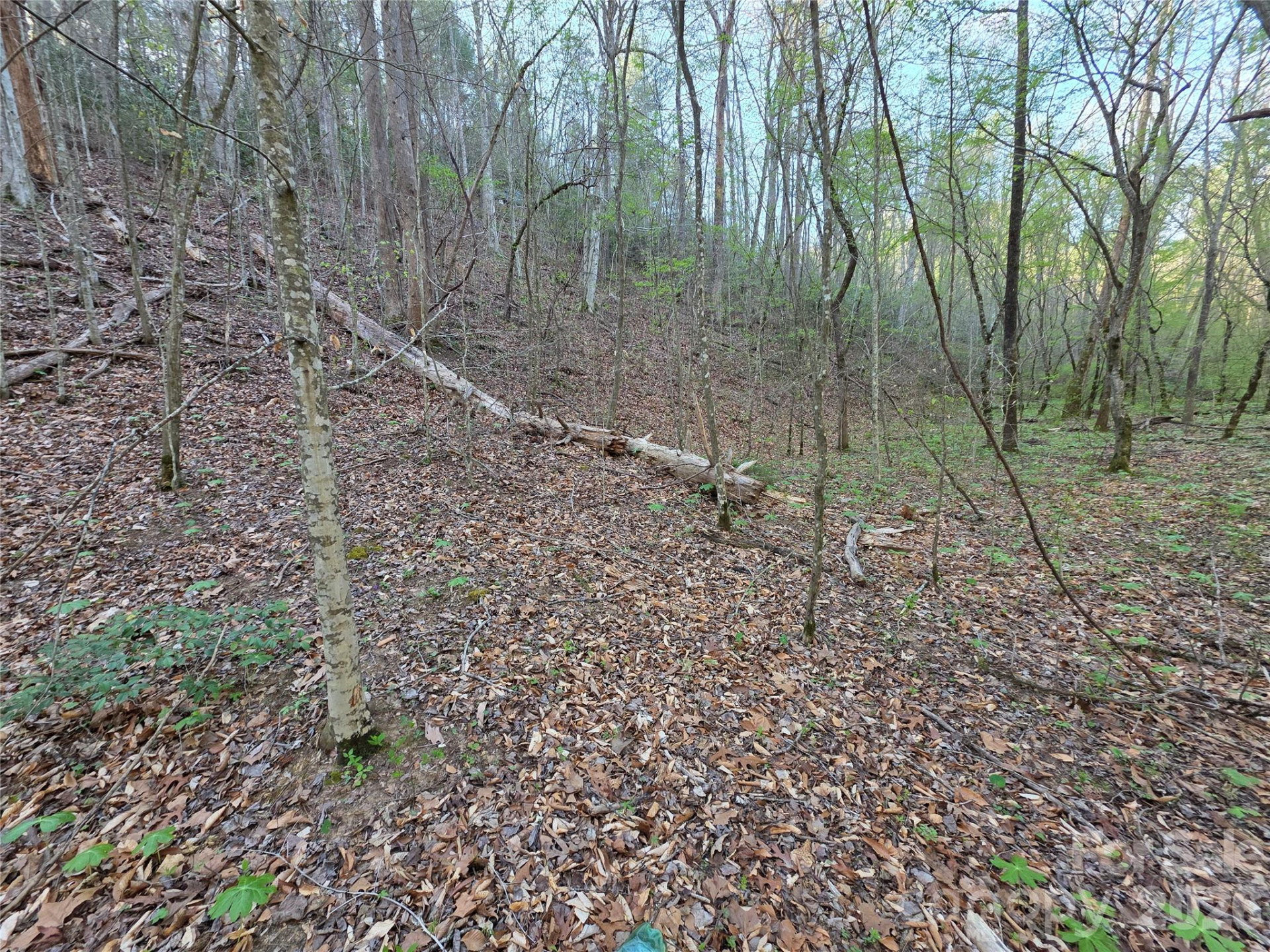 00 Mountain Creek Way - Photo 7