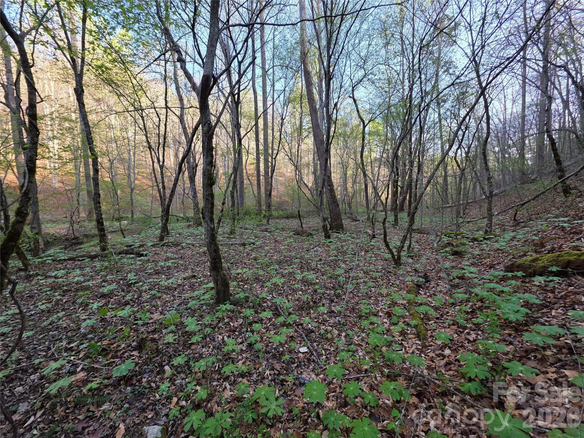 00 Mountain Creek Way - Photo 8