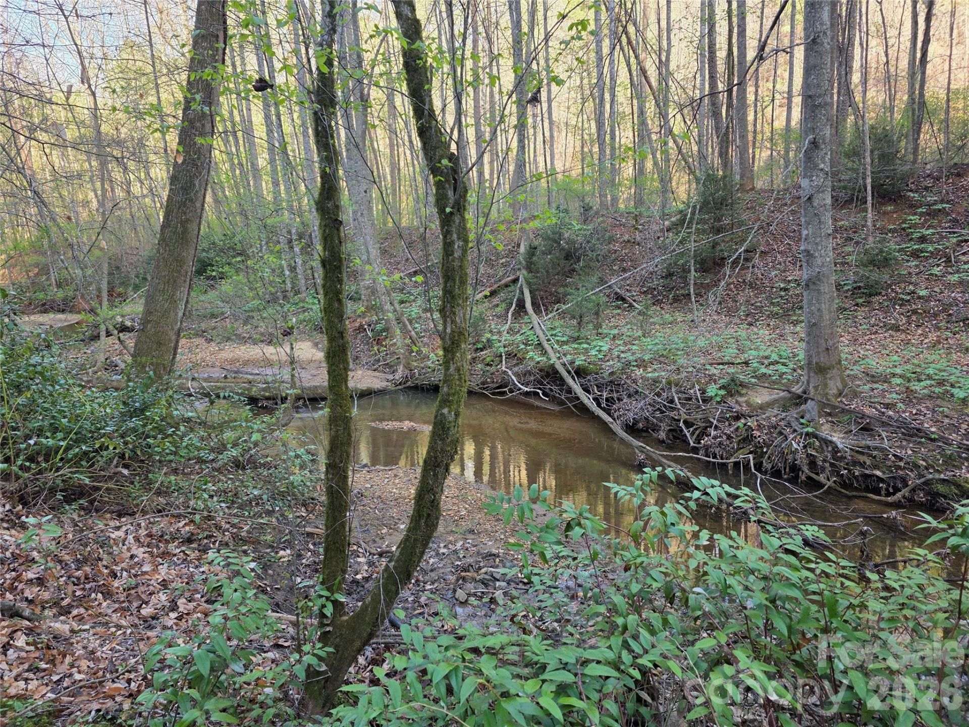 00 Mountain Creek Way - Photo 9