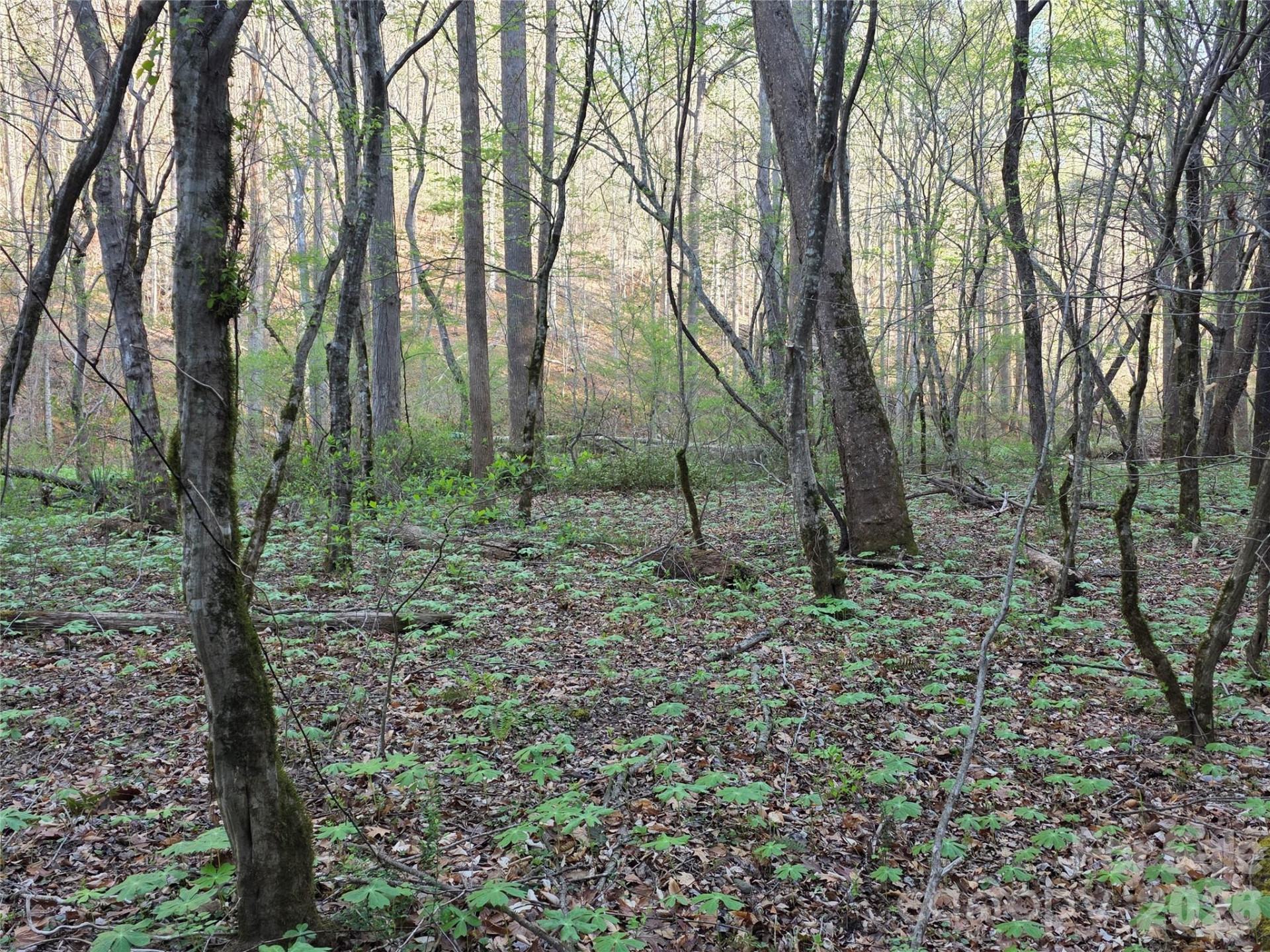 00 Mountain Creek Way - Photo 10