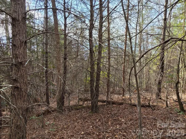 Lot 10 Kerlee Lane, Old Fort, NC, 28762