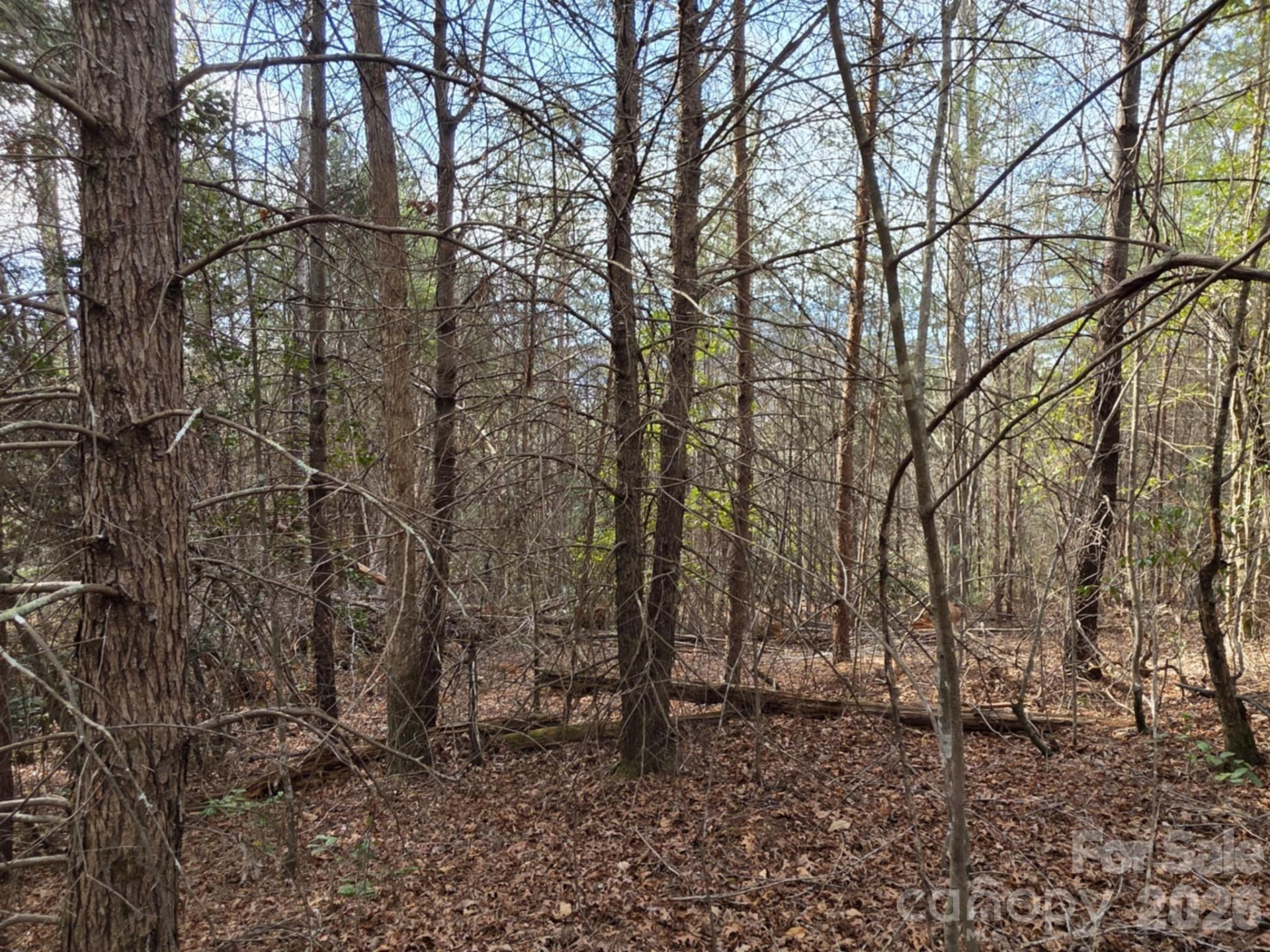 Lot 10 Kerlee Lane