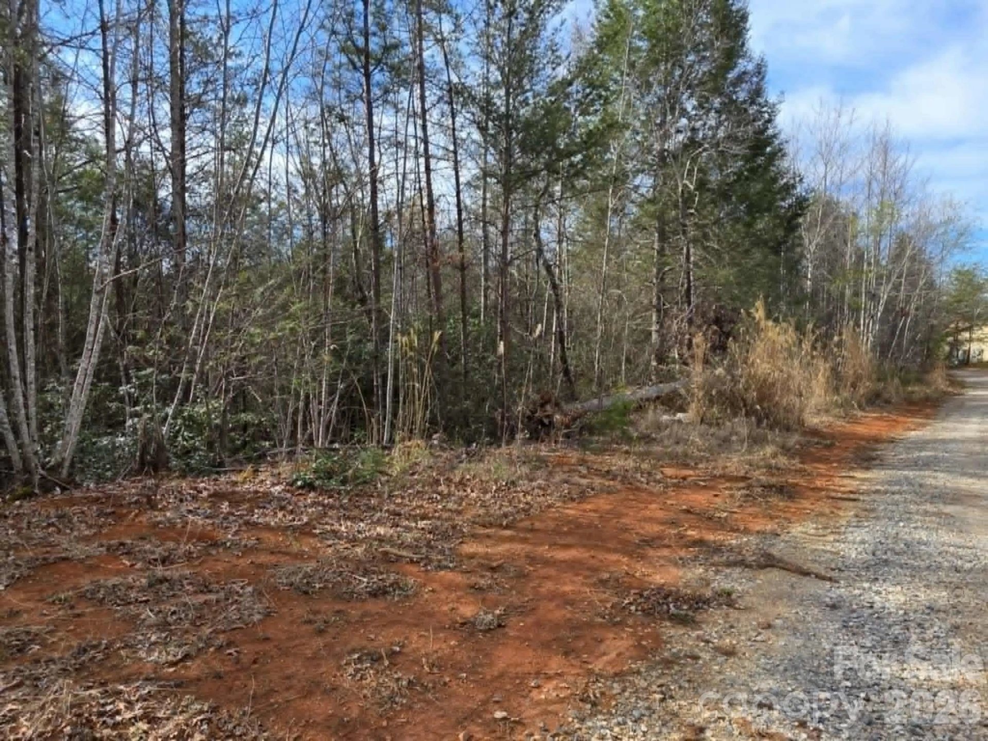 Lot 10 Kerlee Lane - Photo 2