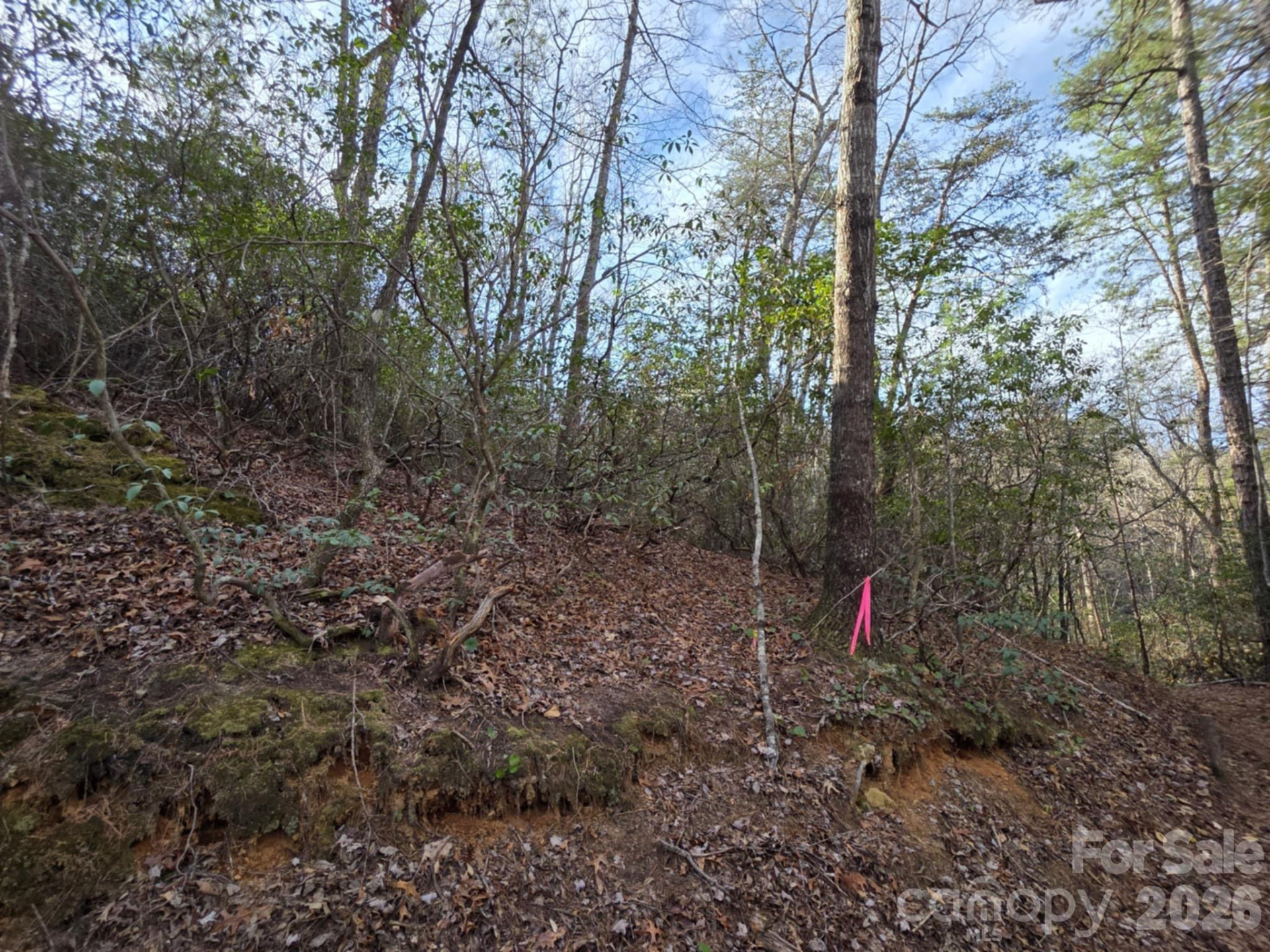 Lot 10 Kerlee Lane - Photo 11
