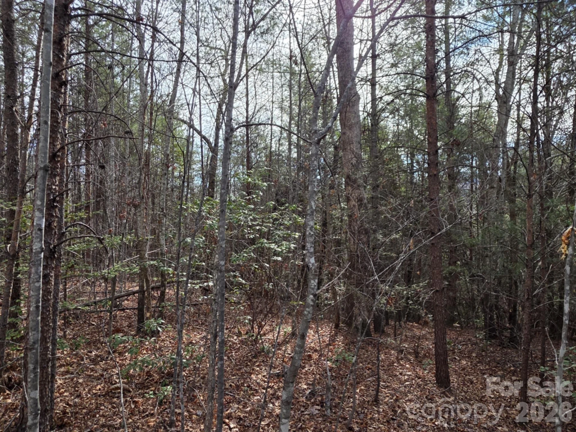 Lot 10 Kerlee Lane - Photo 3