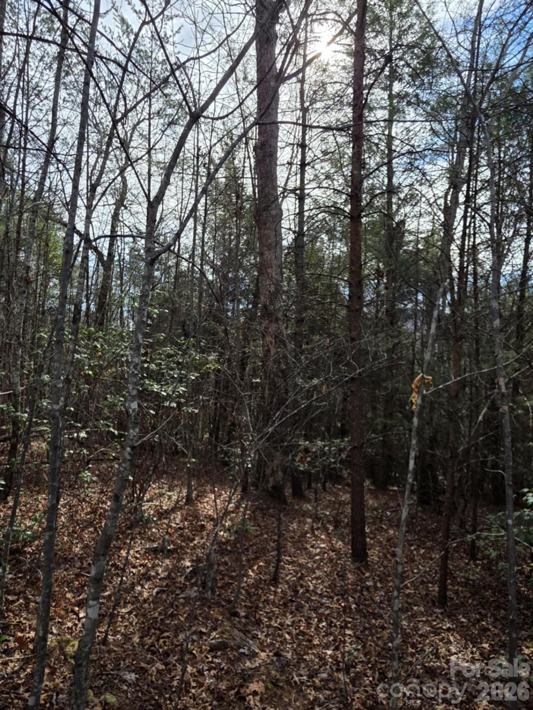 Lot 10 Kerlee Lane - Photo 4