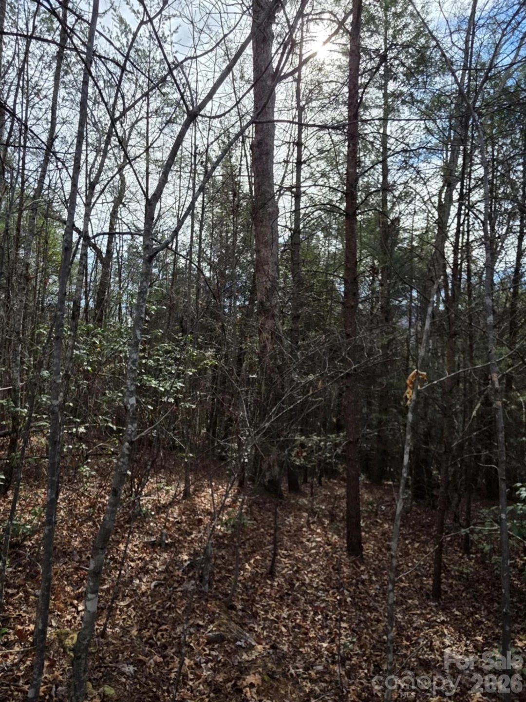 Lot 10 Kerlee Lane - Photo 4