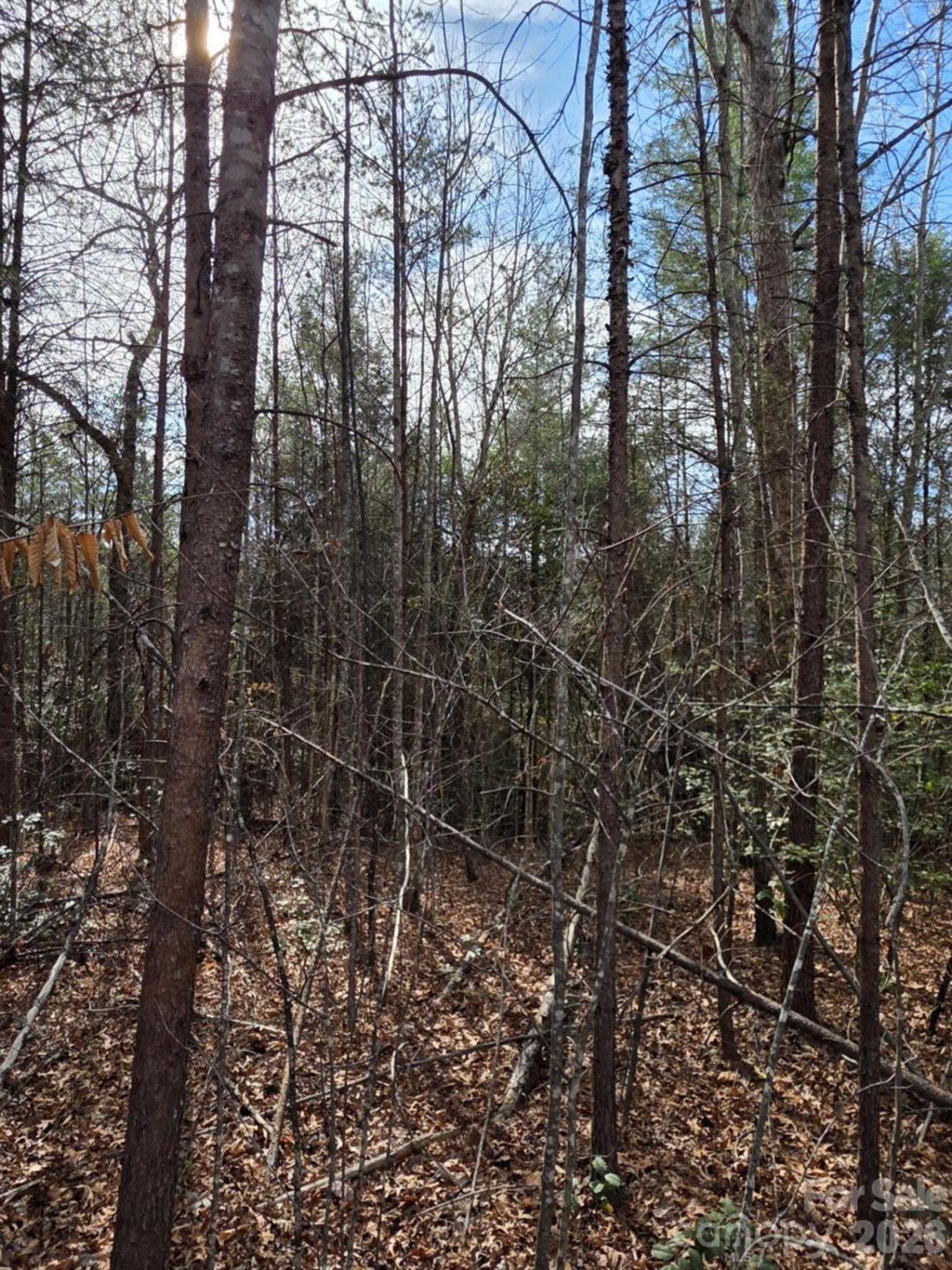 Lot 10 Kerlee Lane - Photo 5