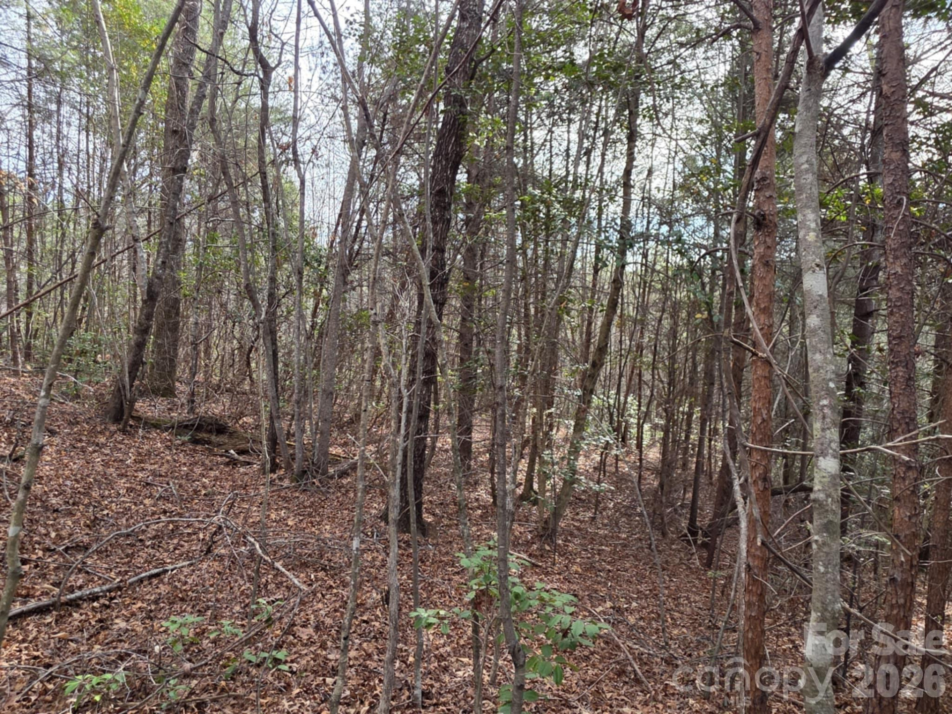 Lot 10 Kerlee Lane - Photo 6