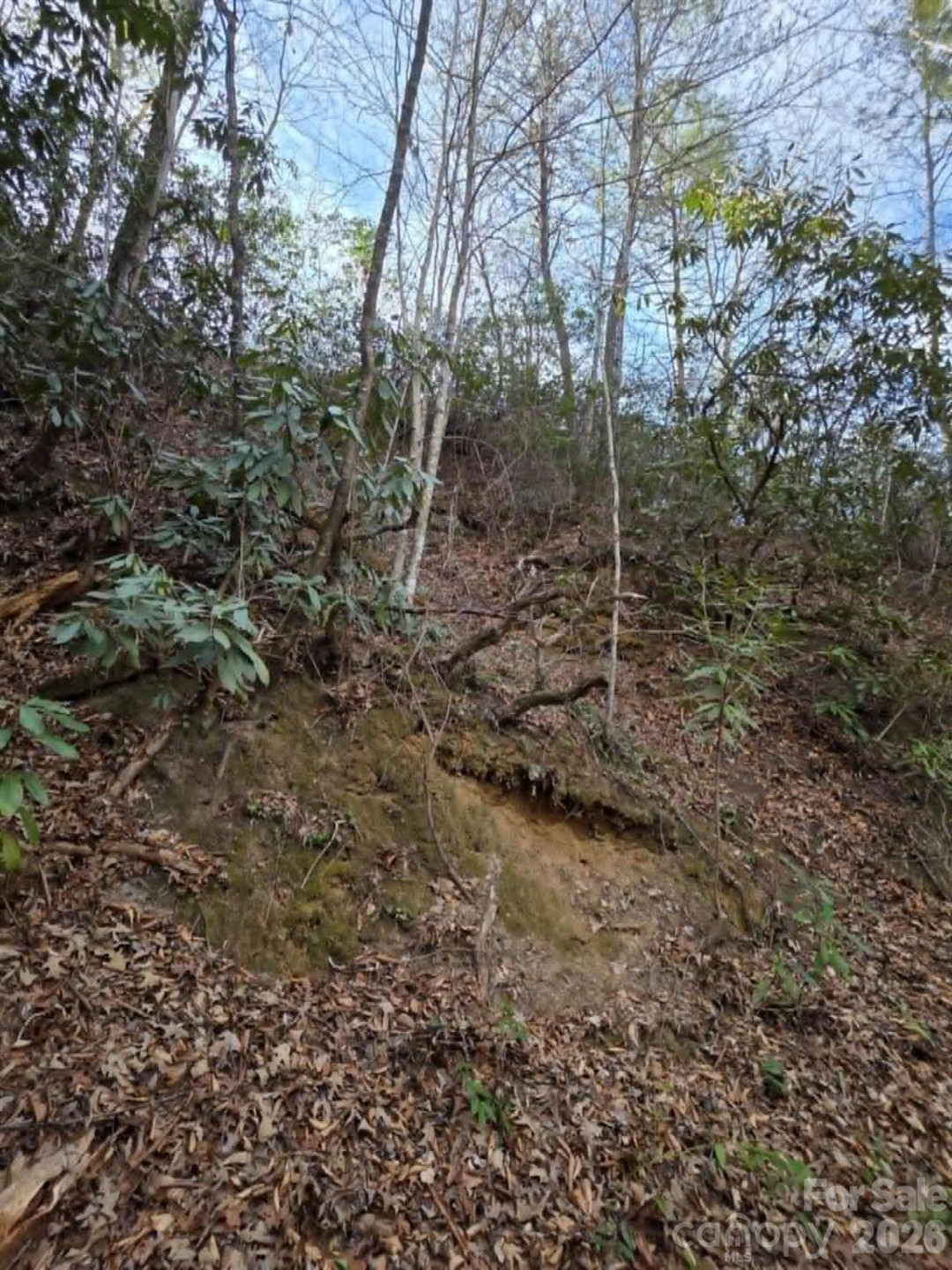 Lot 10 Kerlee Lane - Photo 8