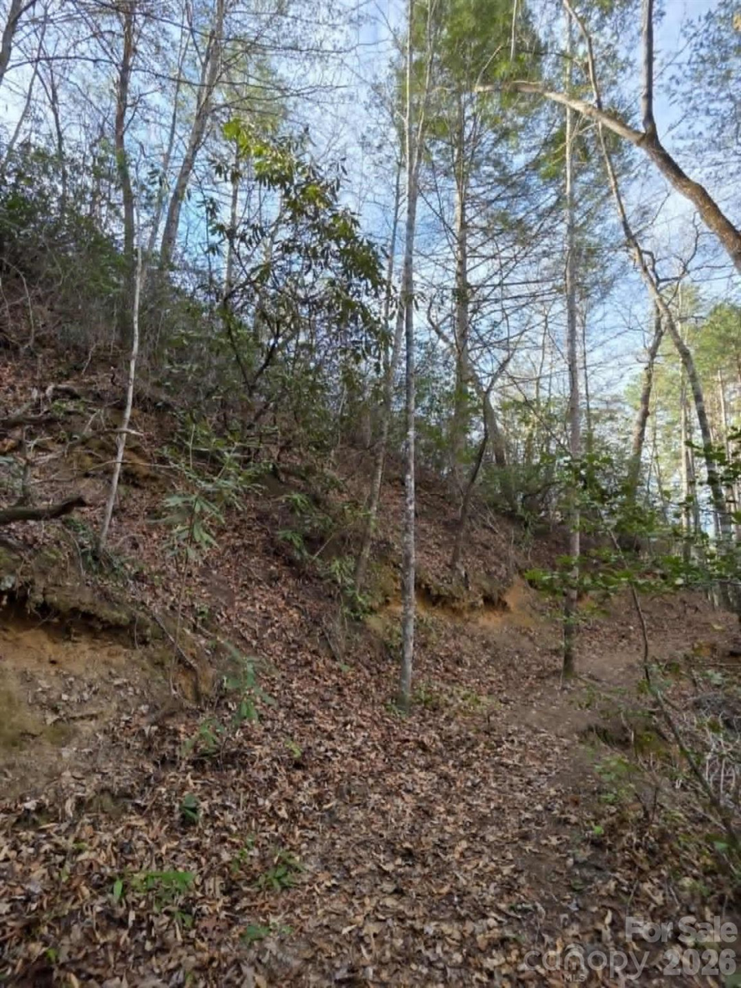 Lot 10 Kerlee Lane - Photo 9