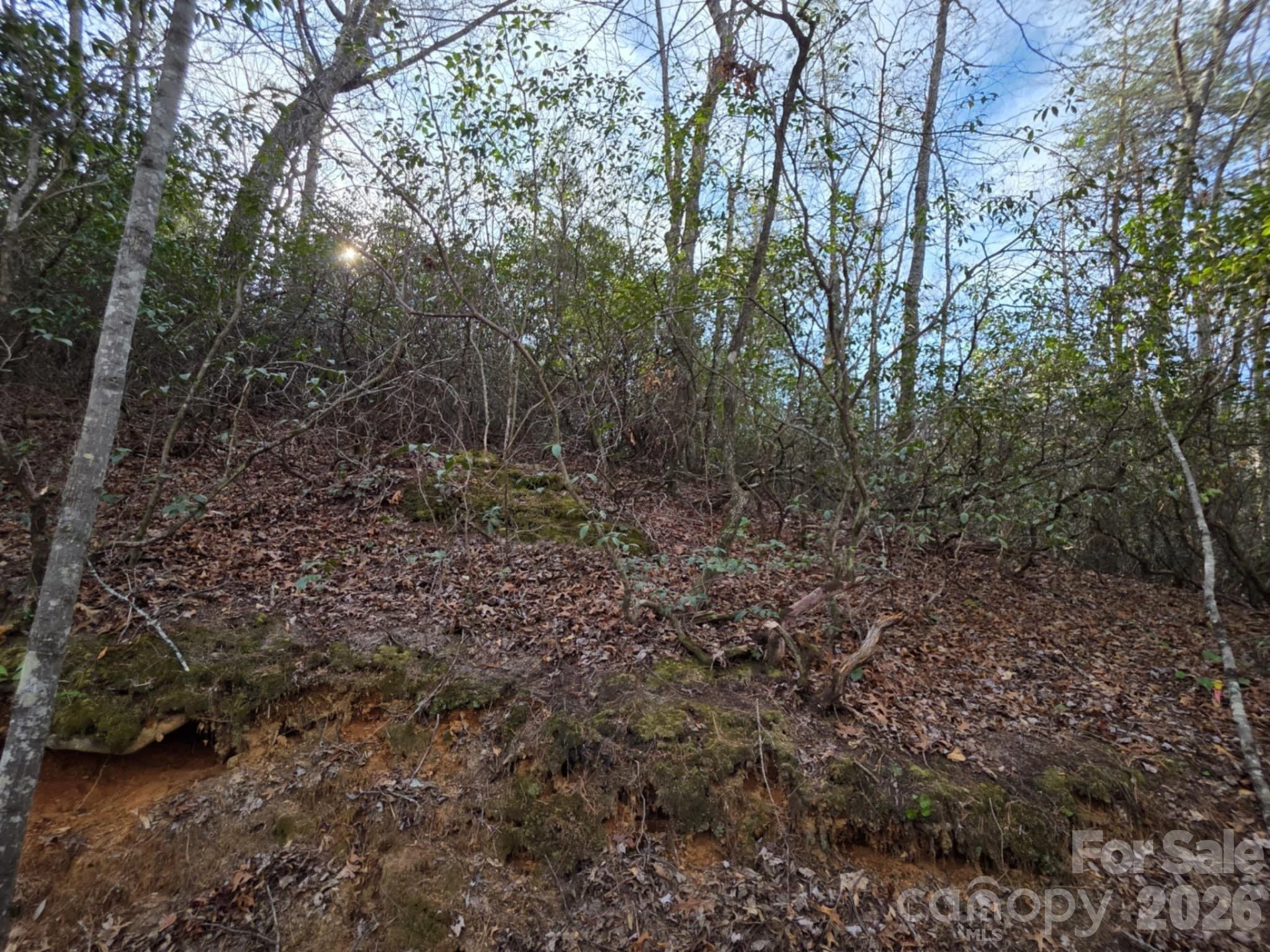 Lot 10 Kerlee Lane - Photo 10