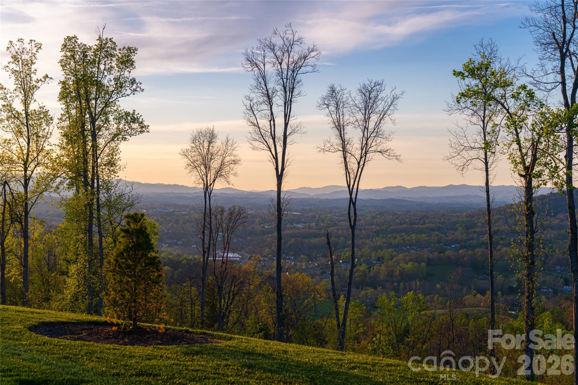 170 Bear View Road - Photo 46