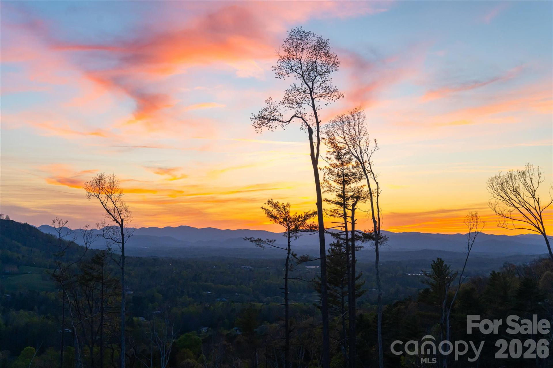 170 Bear View Road - Photo 47