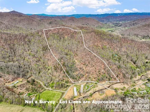 183 Stoney Fork Road, Barnardsville, NC, 28709