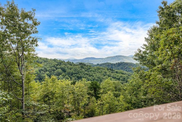 55 Glade Lane, Black Mountain, NC, 28711