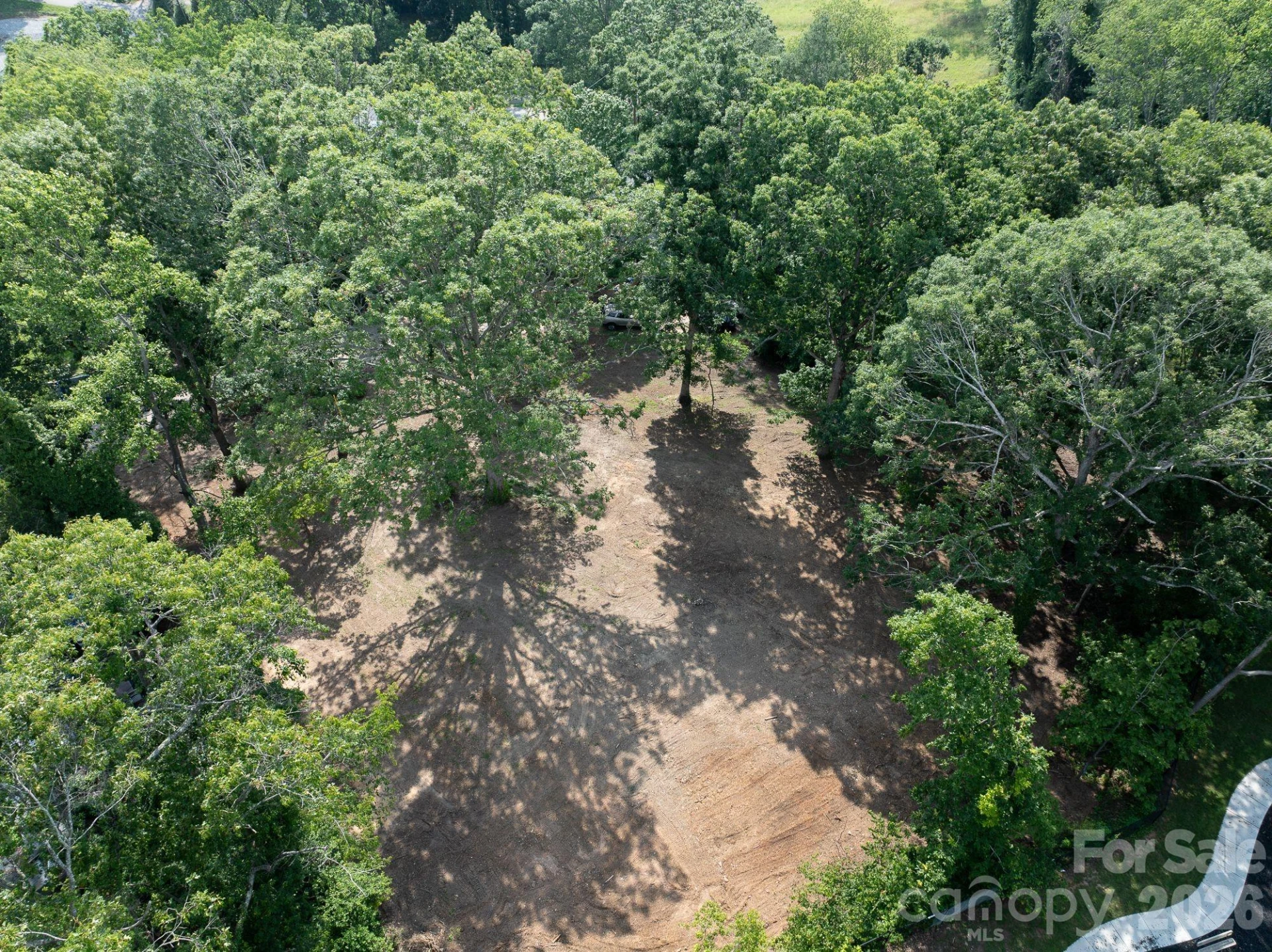 33 Reese Street #16-20 - Photo 5