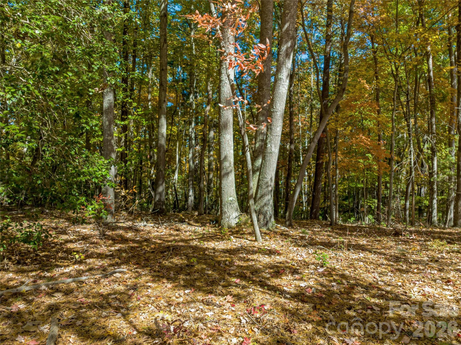 75 Emerald Necklace Drive #411 - Photo 12
