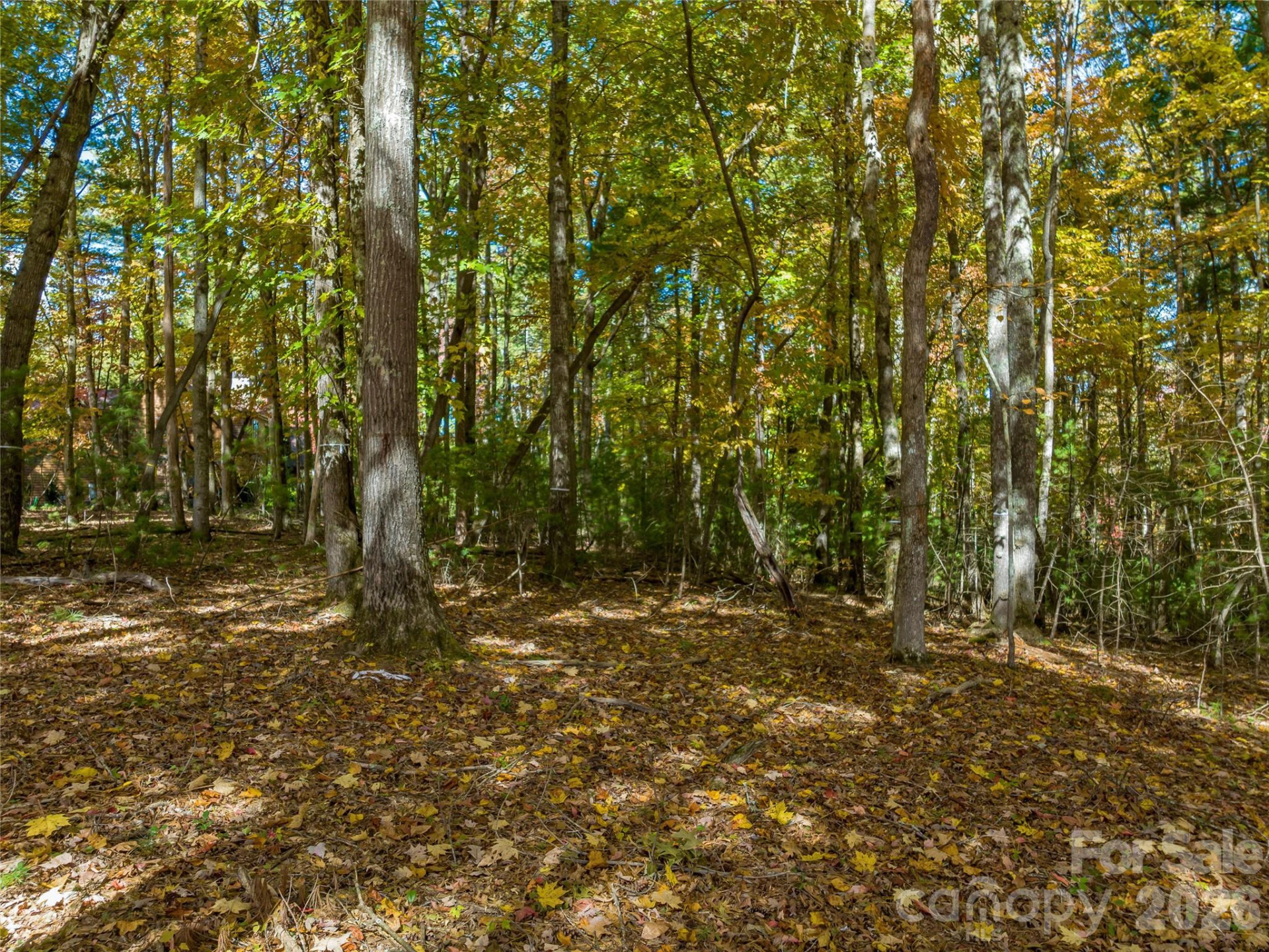 75 Emerald Necklace Drive #411 - Photo 16