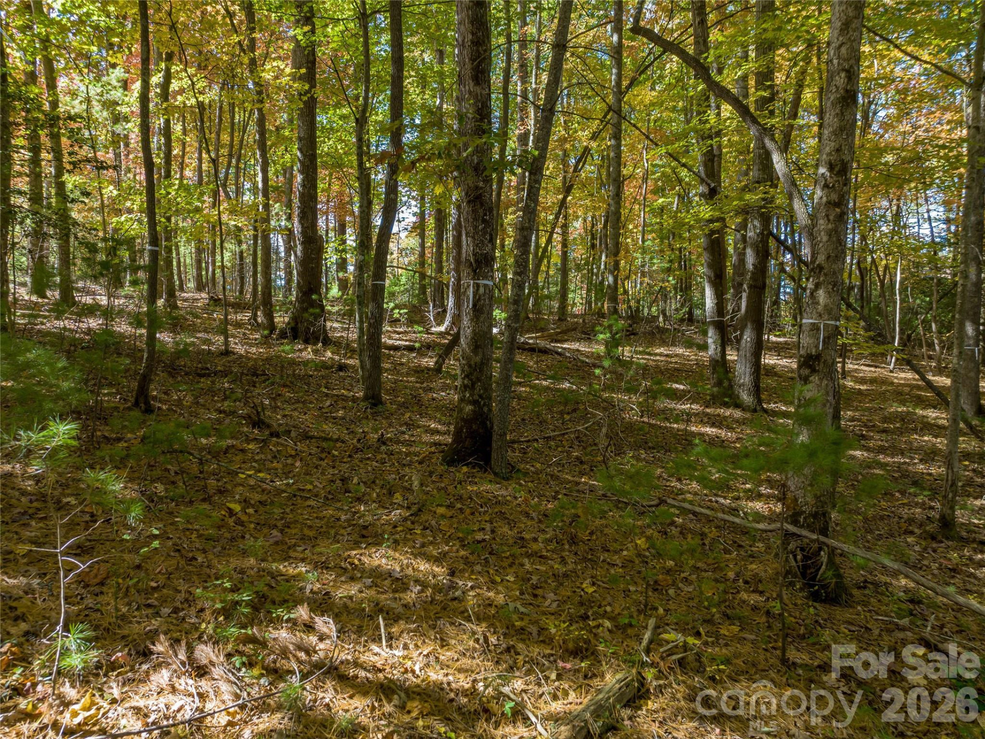 75 Emerald Necklace Drive #411 - Photo 18