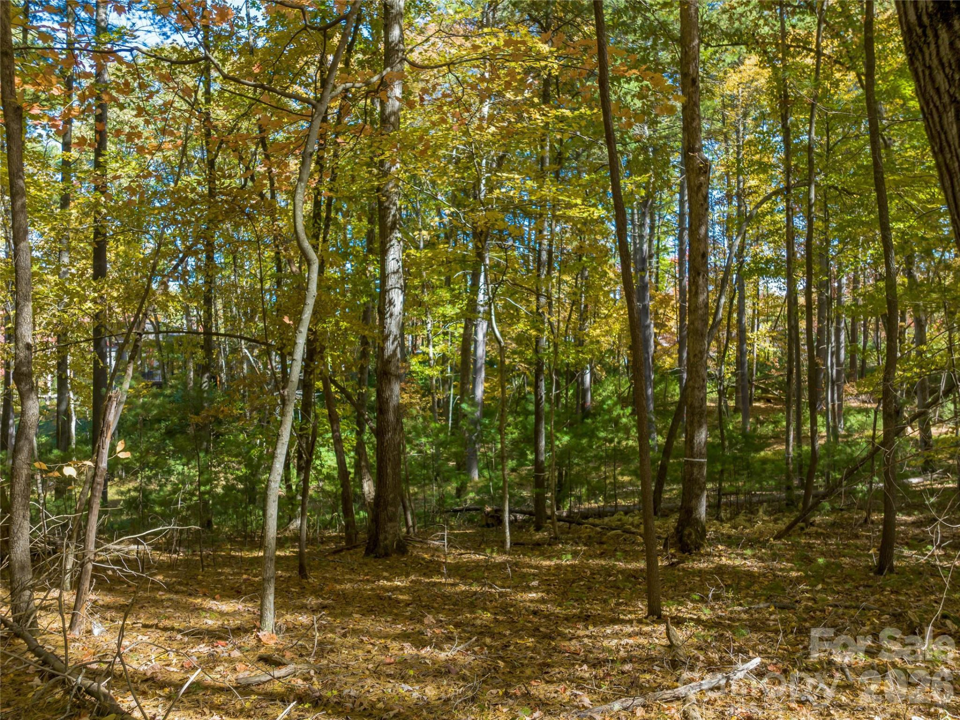 75 Emerald Necklace Drive #411 - Photo 23