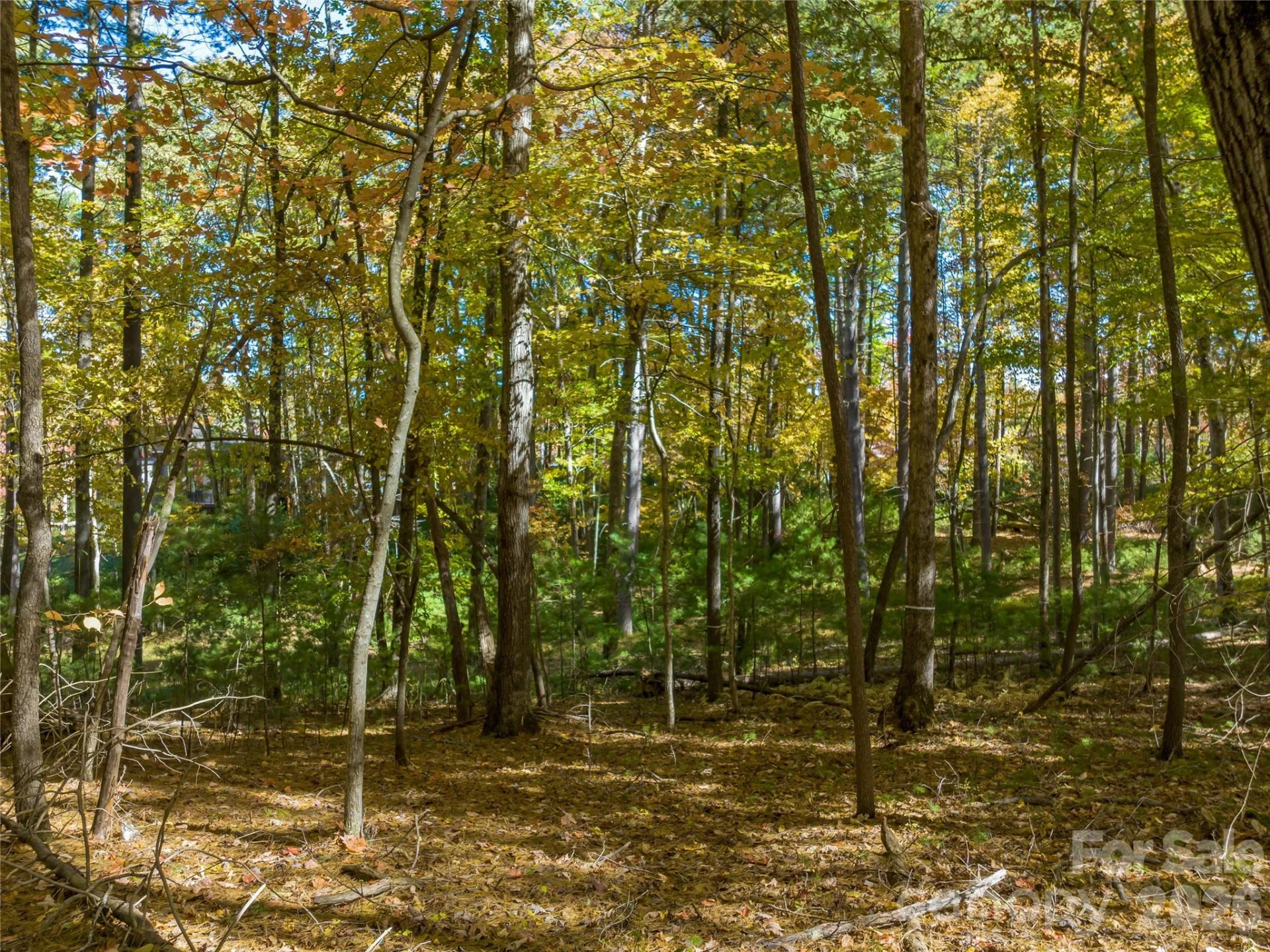75 Emerald Necklace Drive #411 - Photo 23