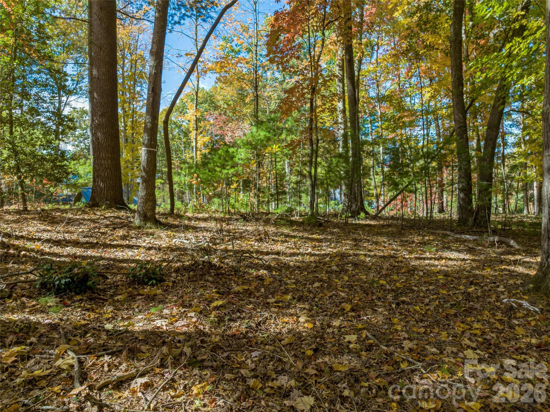 75 Emerald Necklace Drive #411 - Photo 25