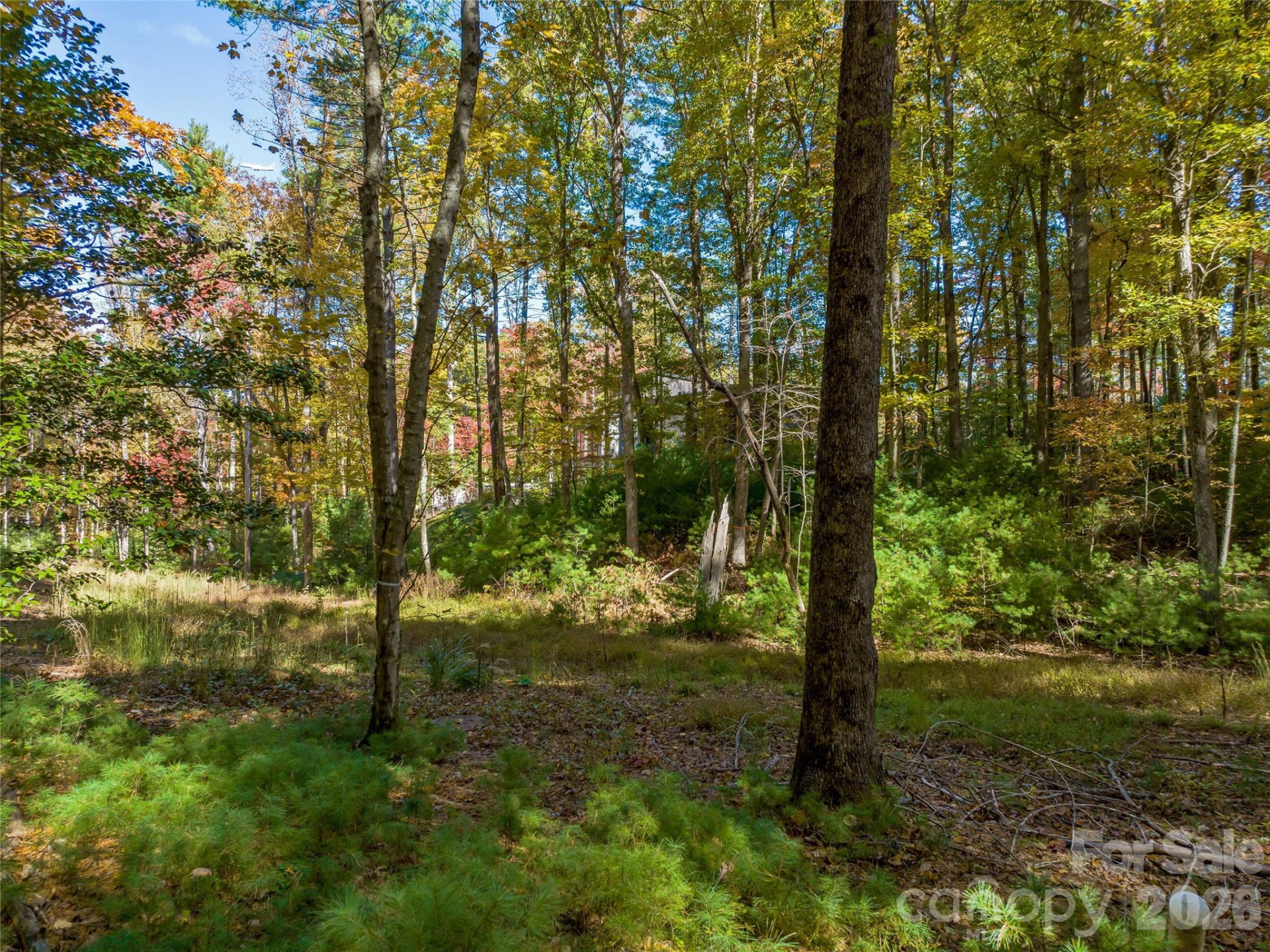 75 Emerald Necklace Drive #411 - Photo 9