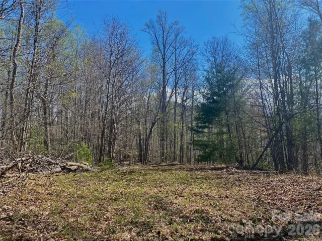 00 Scenic View Drive, Green Mountain, NC, 28740
