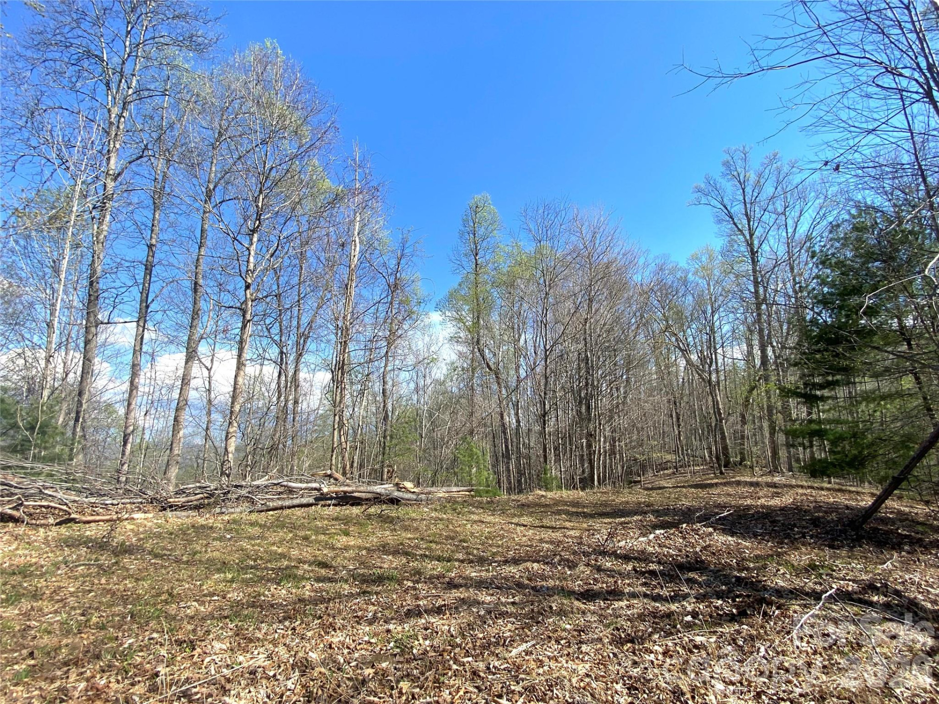 00 Scenic View Drive #1 & 2 - Photo 2