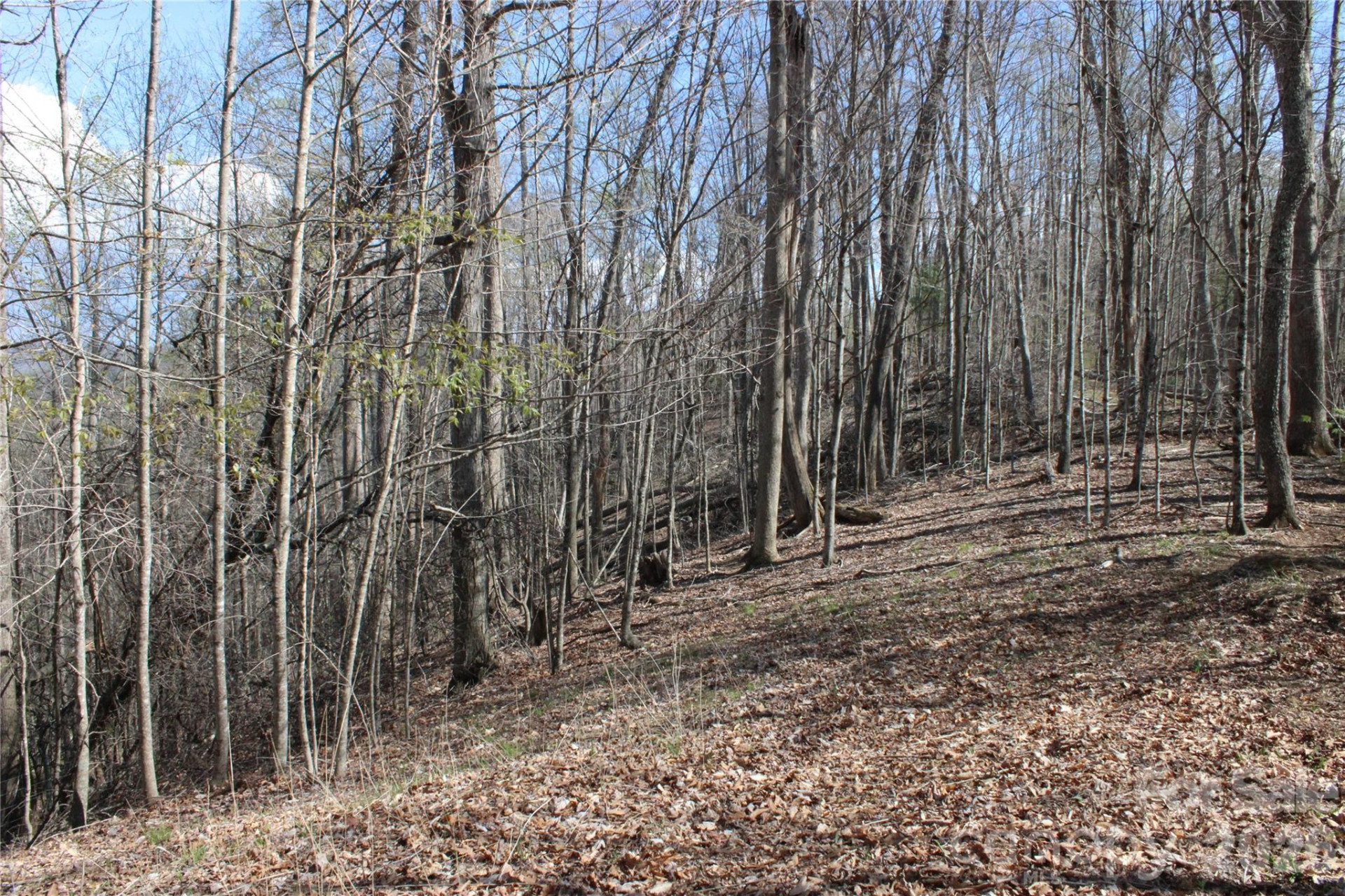 00 Scenic View Drive #1 & 2 - Photo 11