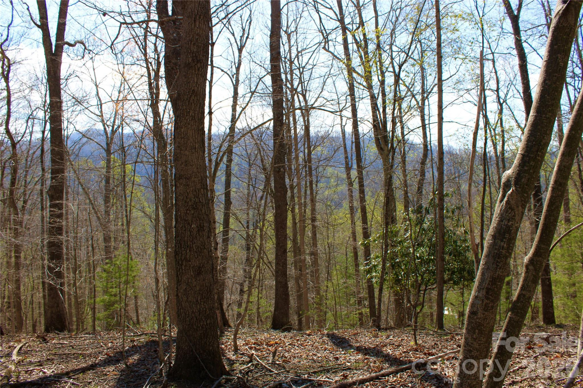 00 Scenic View Drive #1 & 2 - Photo 3