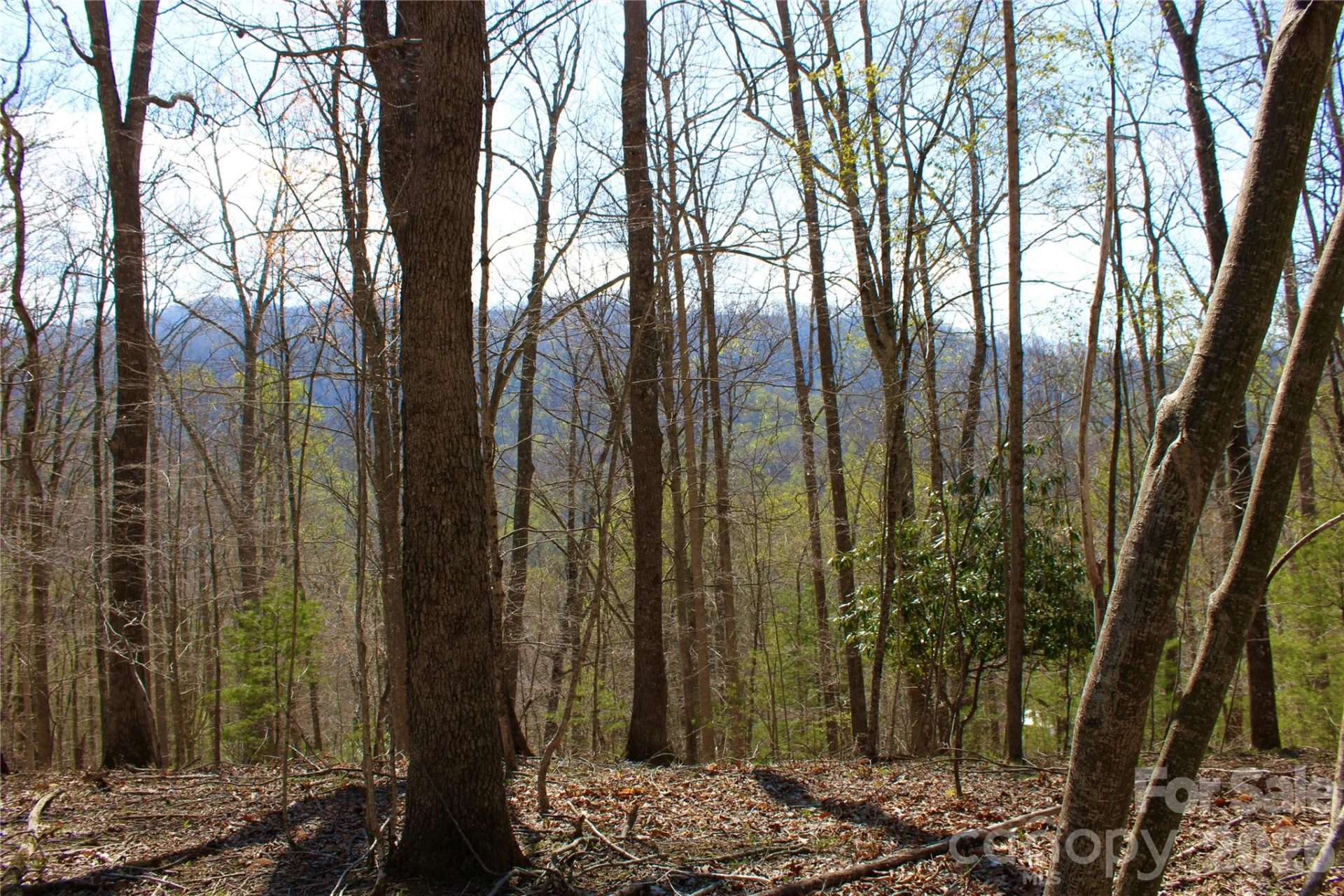 00 Scenic View Drive #1 & 2 - Photo 3