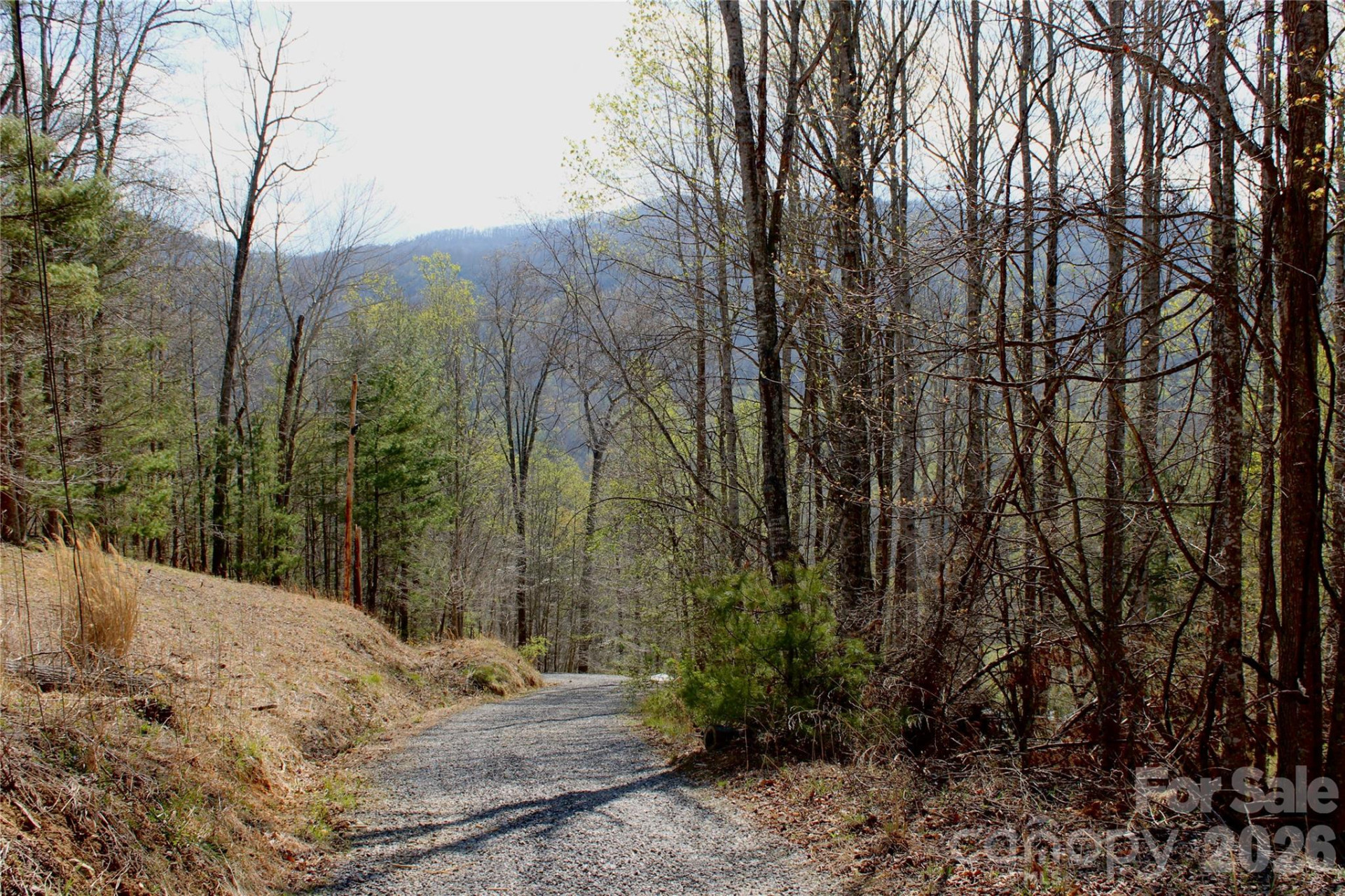 00 Scenic View Drive #1 & 2 - Photo 4