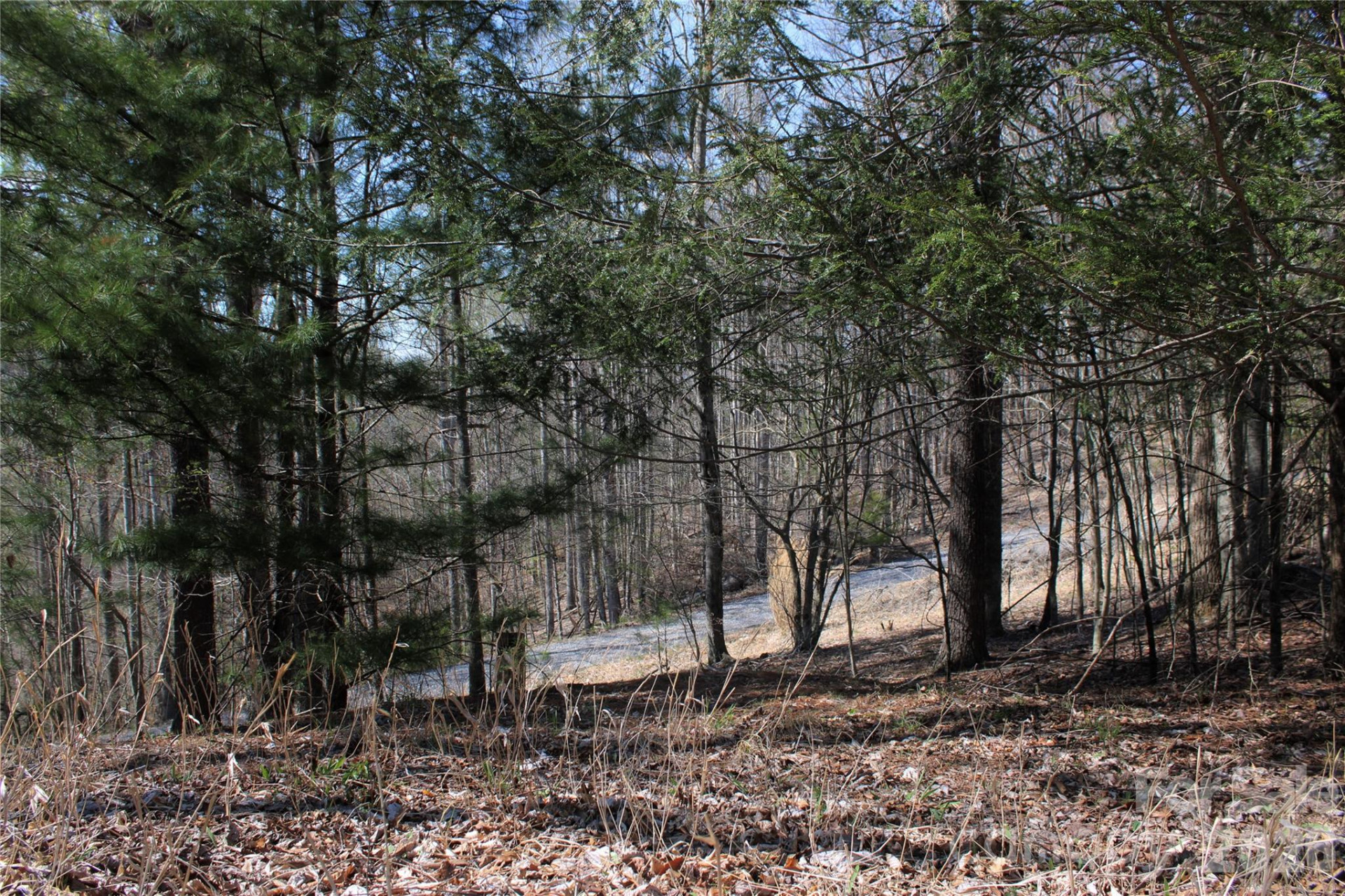 00 Scenic View Drive #1 & 2 - Photo 5