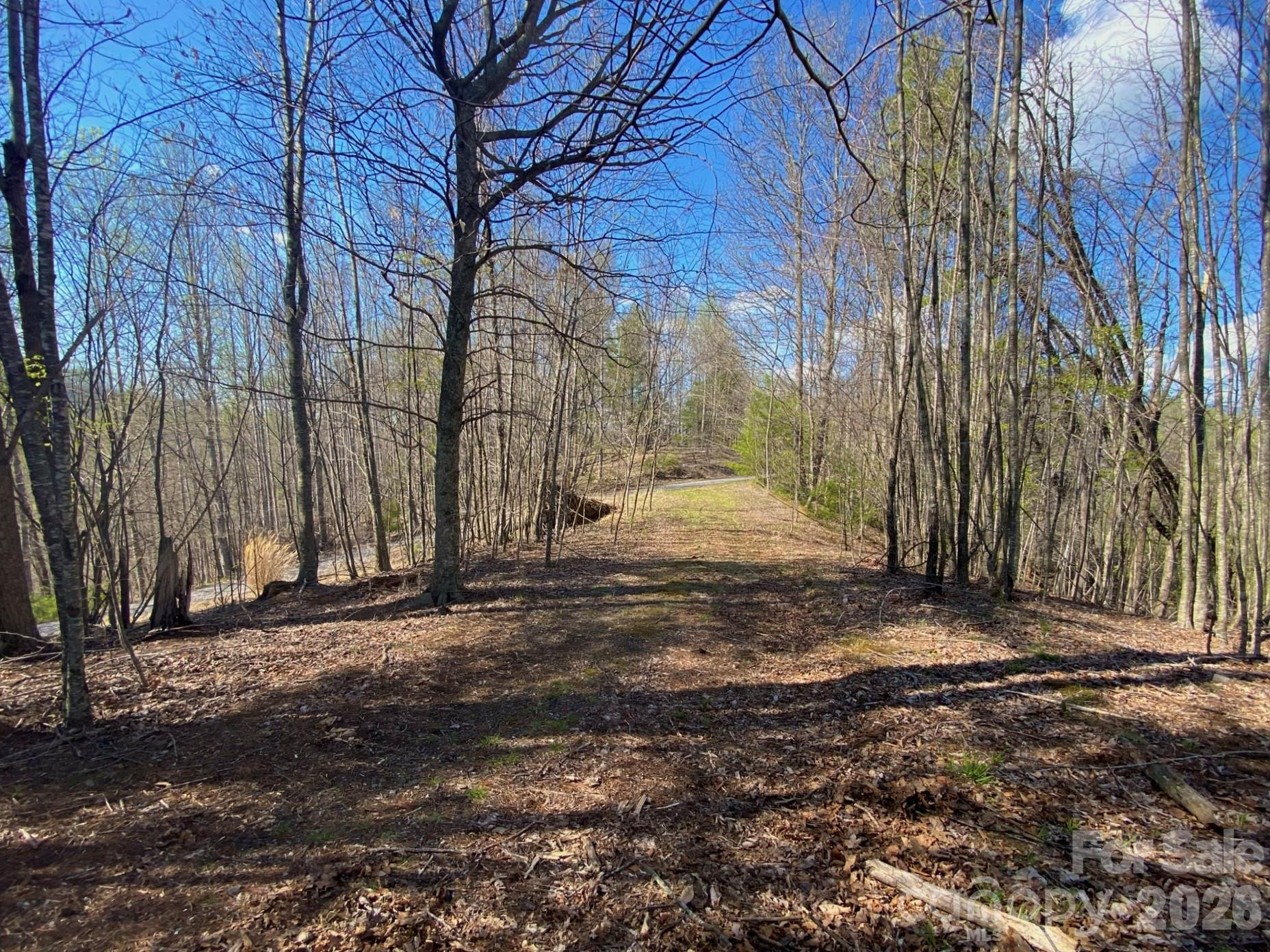 00 Scenic View Drive #1 & 2 - Photo 6