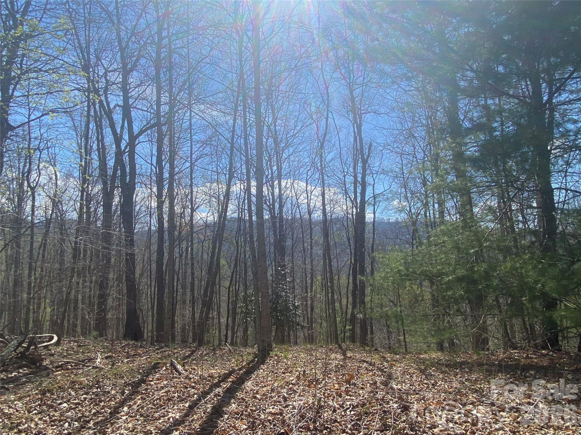 00 Scenic View Drive #1 & 2 - Photo 7