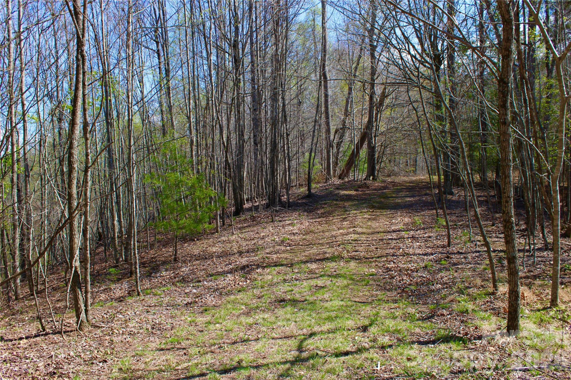 00 Scenic View Drive #1 & 2 - Photo 8