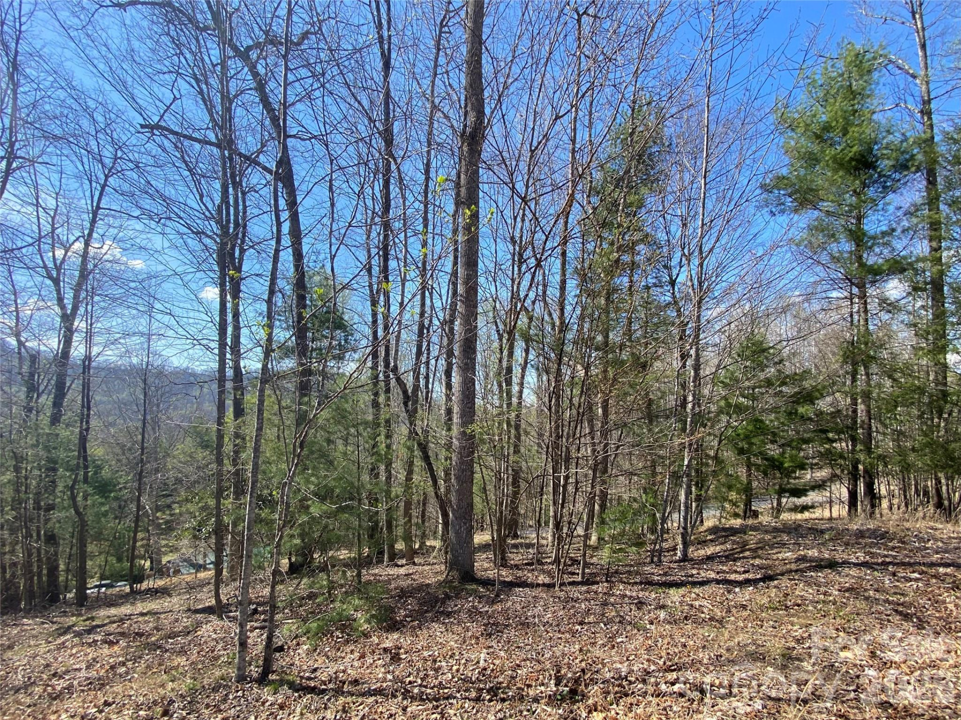 00 Scenic View Drive #1 & 2 - Photo 9