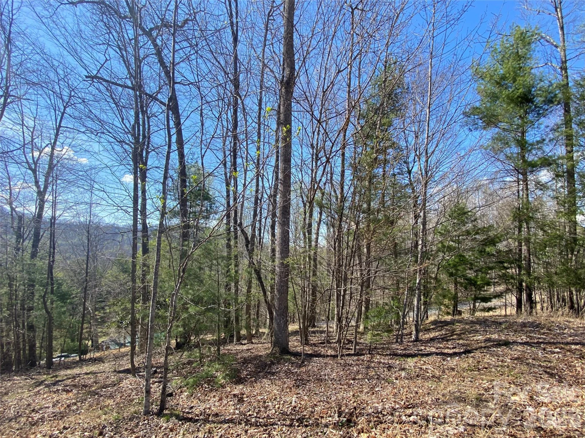 00 Scenic View Drive #1 & 2 - Photo 9