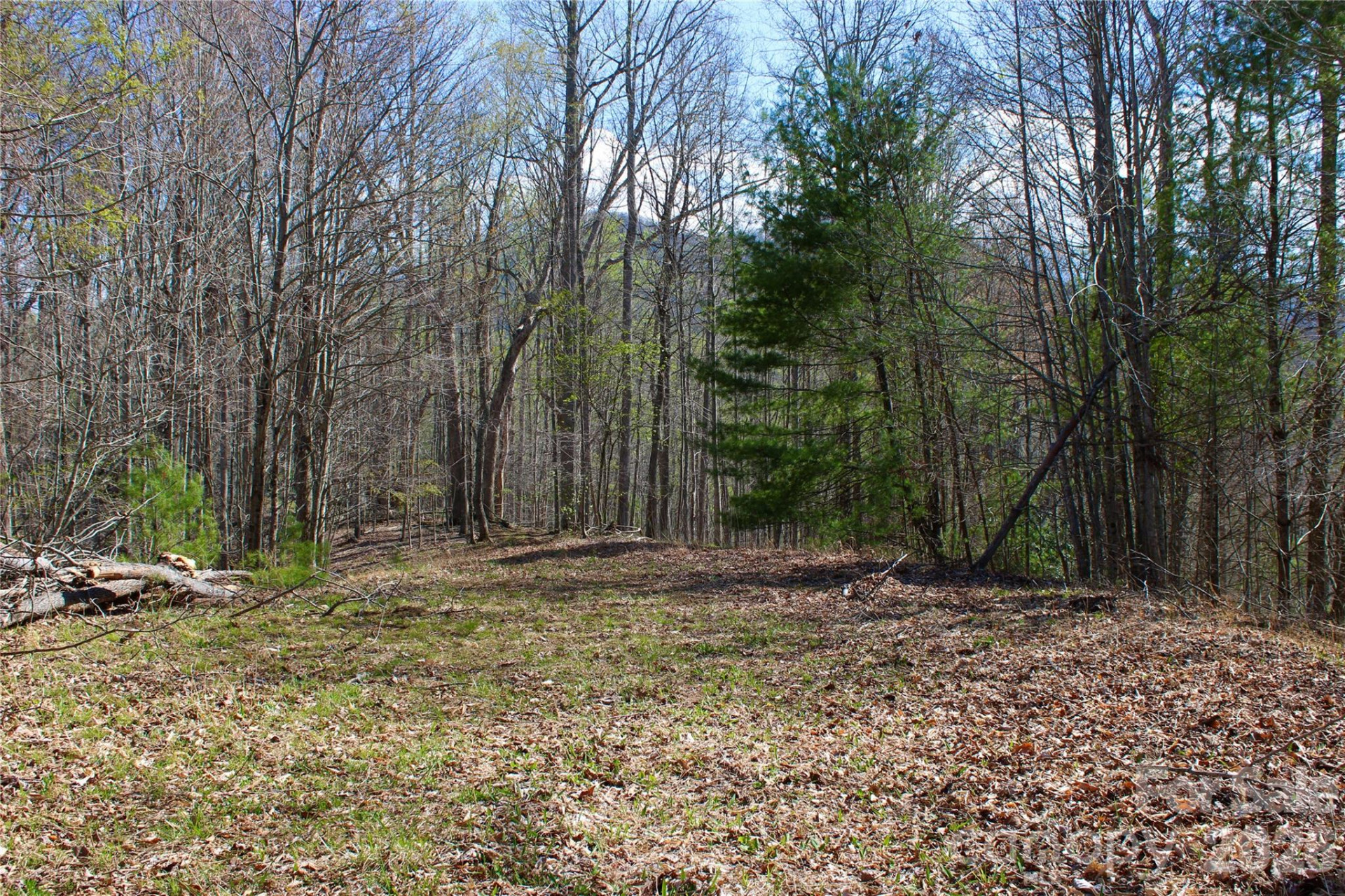 00 Scenic View Drive #1 & 2 - Photo 10